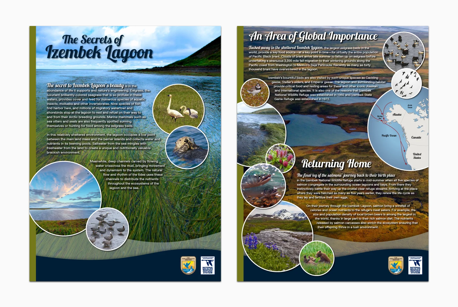 Fossil_Izembek1-2_AliciaRecco.jpg