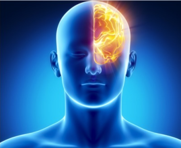 Exercising a Healthy Mind