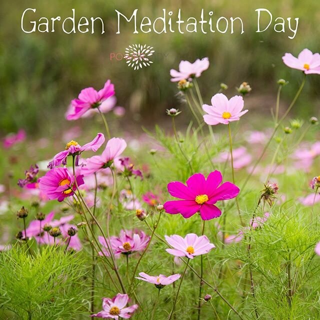 We hope you have had a chance to enjoy the BEAUTIFUL weather that we have been experiencing. The challenge for today is to find a pretty garden or outdoor area and take 5-10 minutes to meditate &mdash; no music, texting, talking or reading &mdash; ju