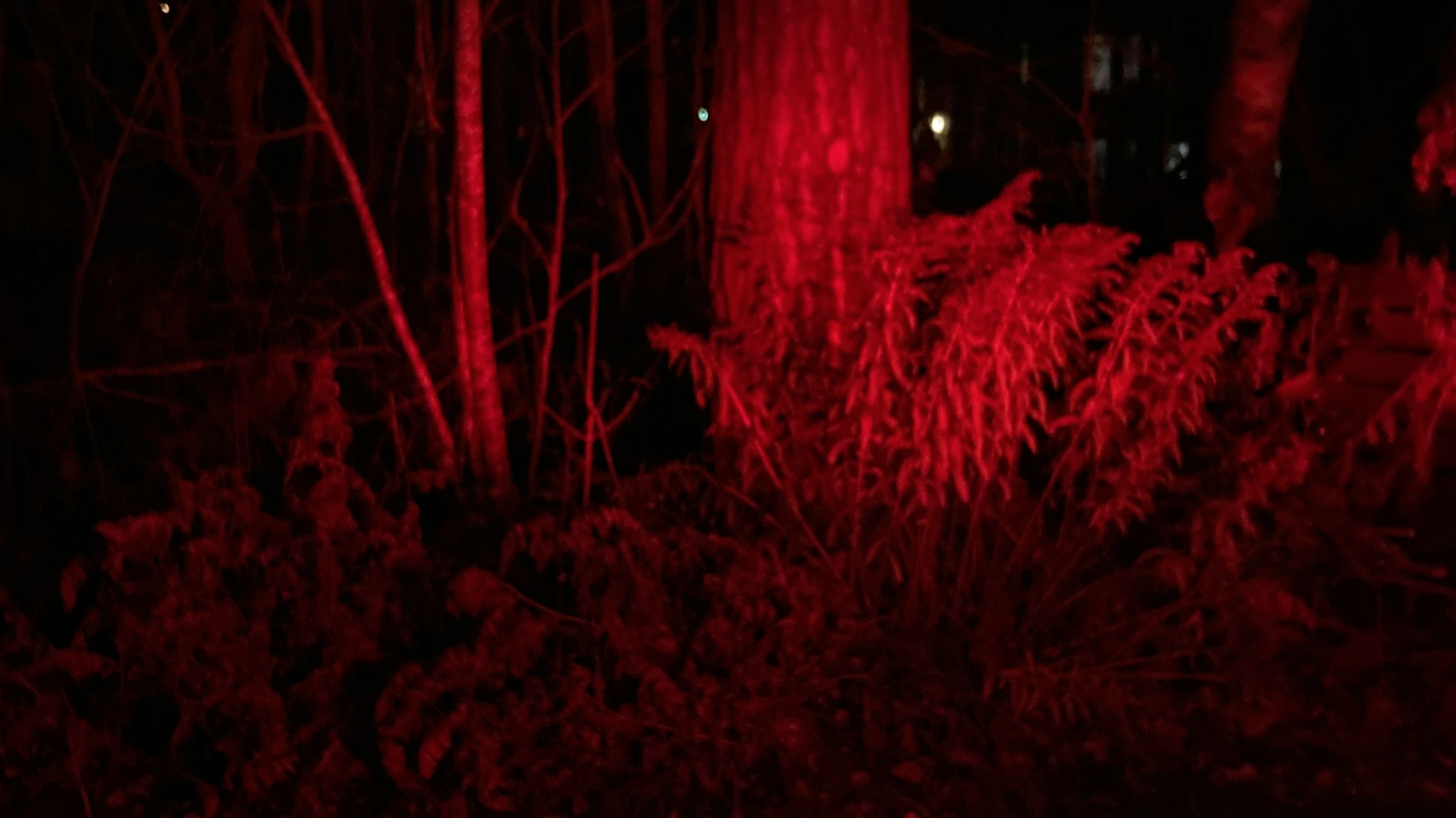 Screen Shot 2020-11-09 at 11.14.21.png