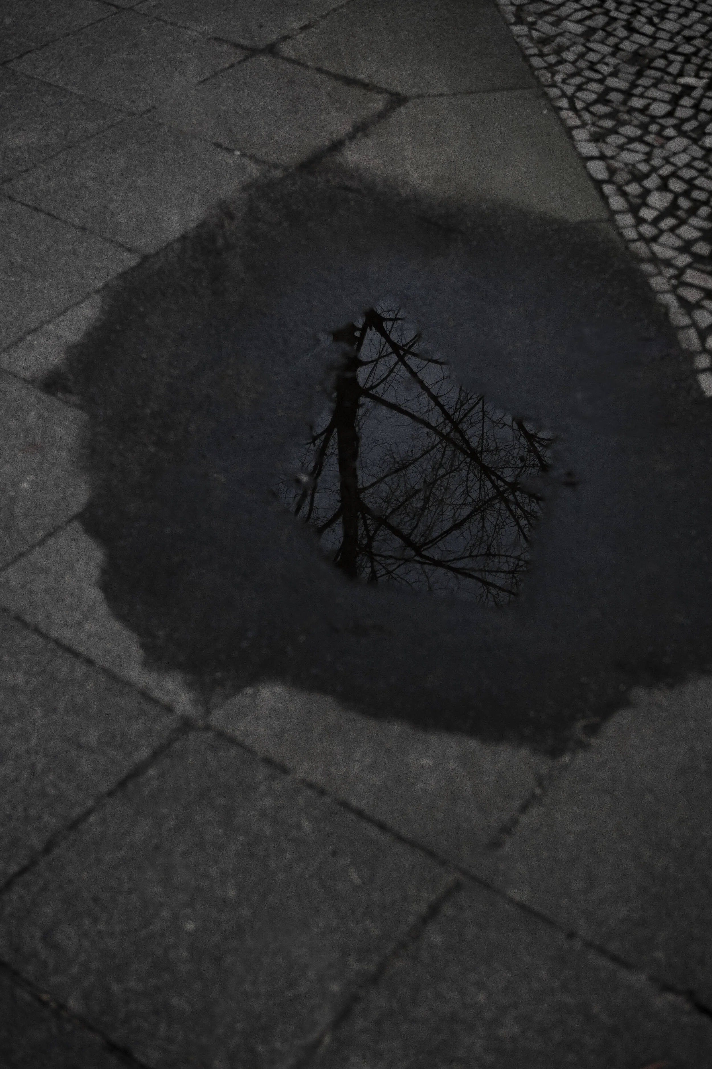 I’m not really here (2021)