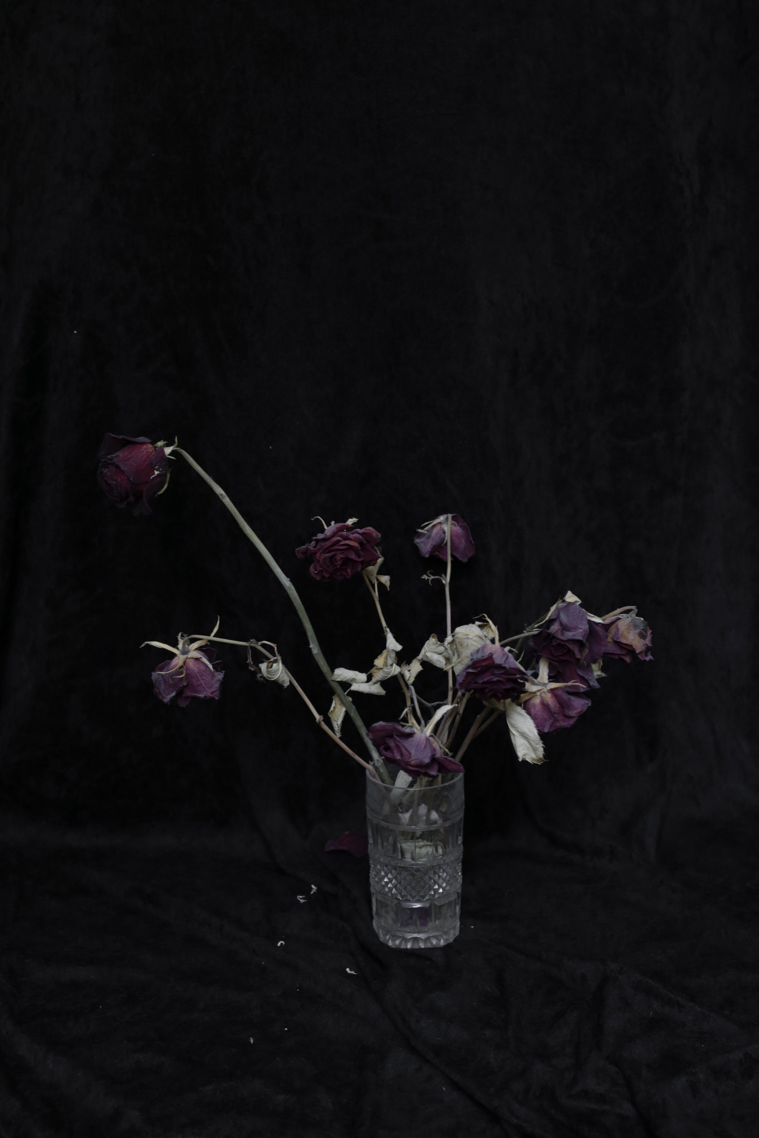 Untitled-444.jpg