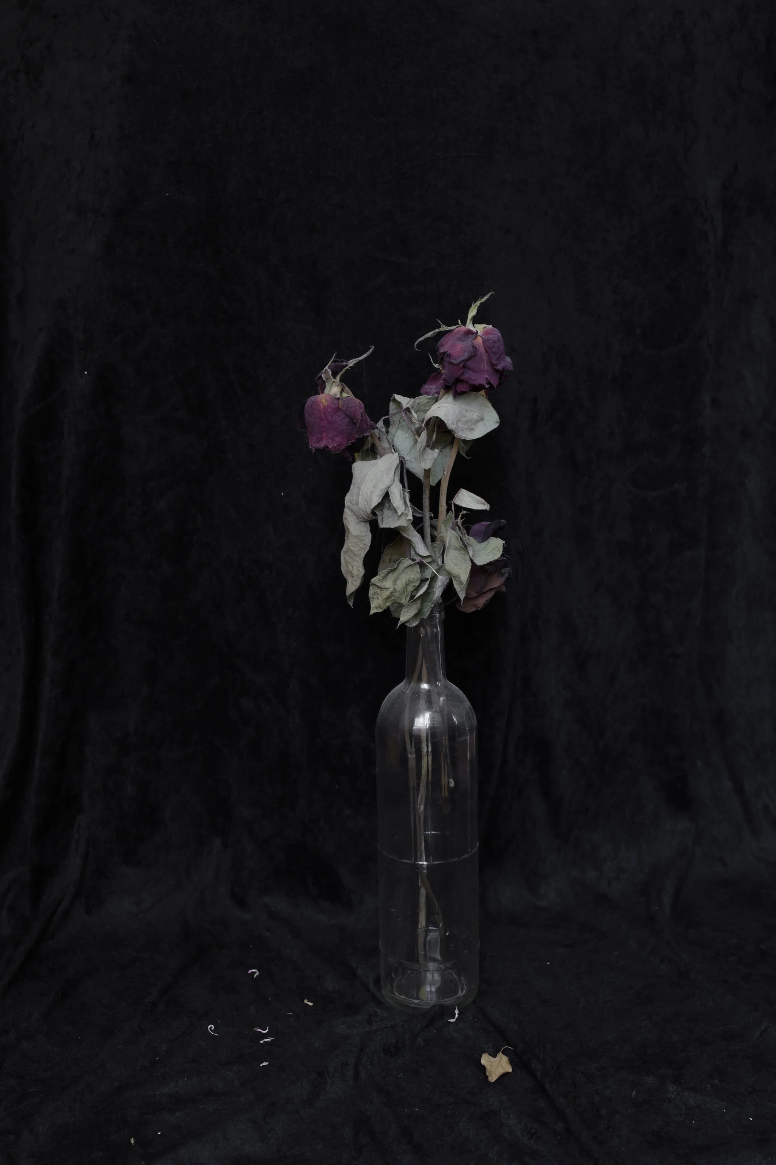 Untitled-435.jpg