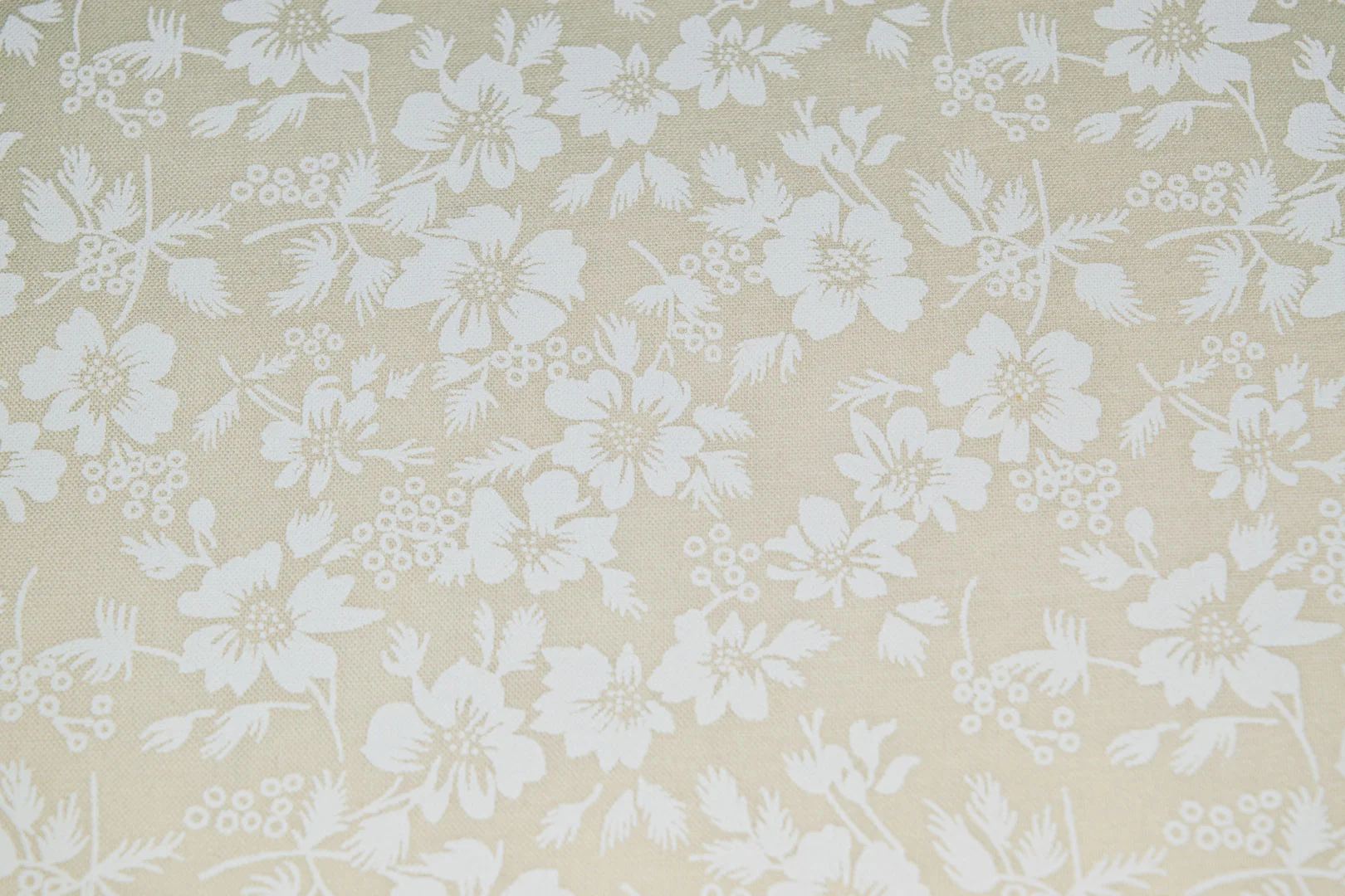 8_18606_wt 44/45" 68/68, 100% Carded Cotton