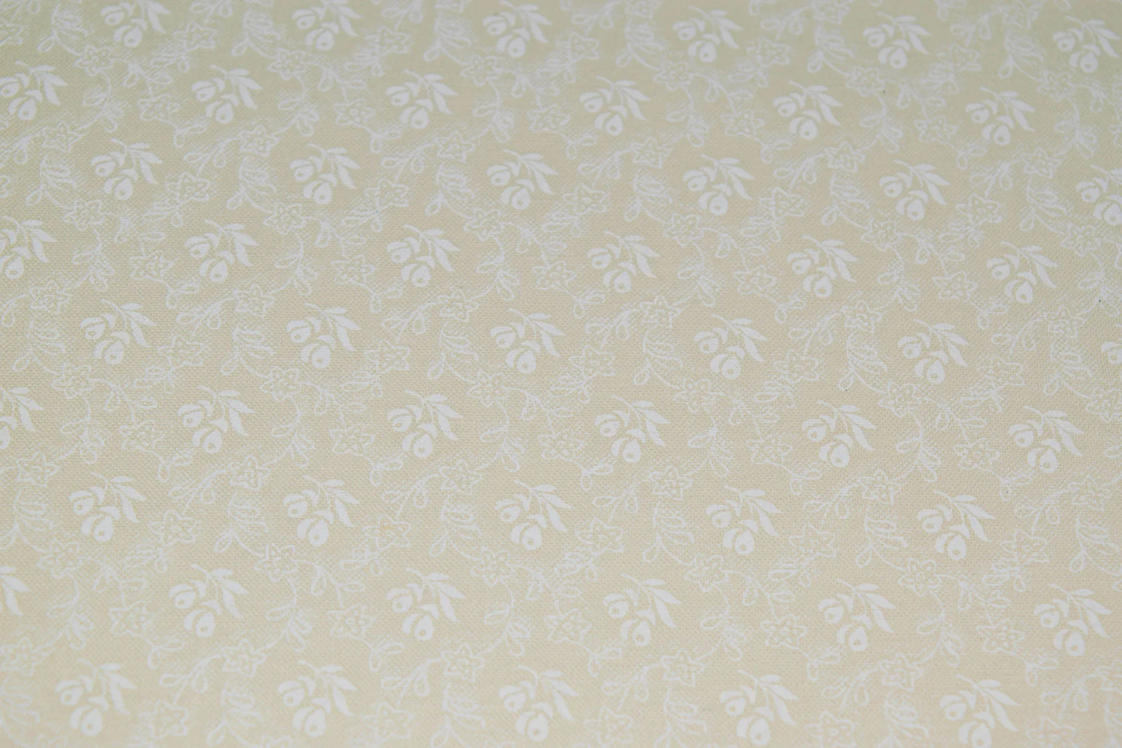 8_21113_wt 44/45" 68/68, 100% Carded Cotton