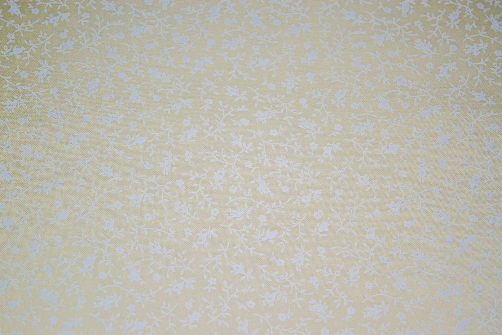 8_22015_wt 44/45" 68/68, 100% Carded Cotton