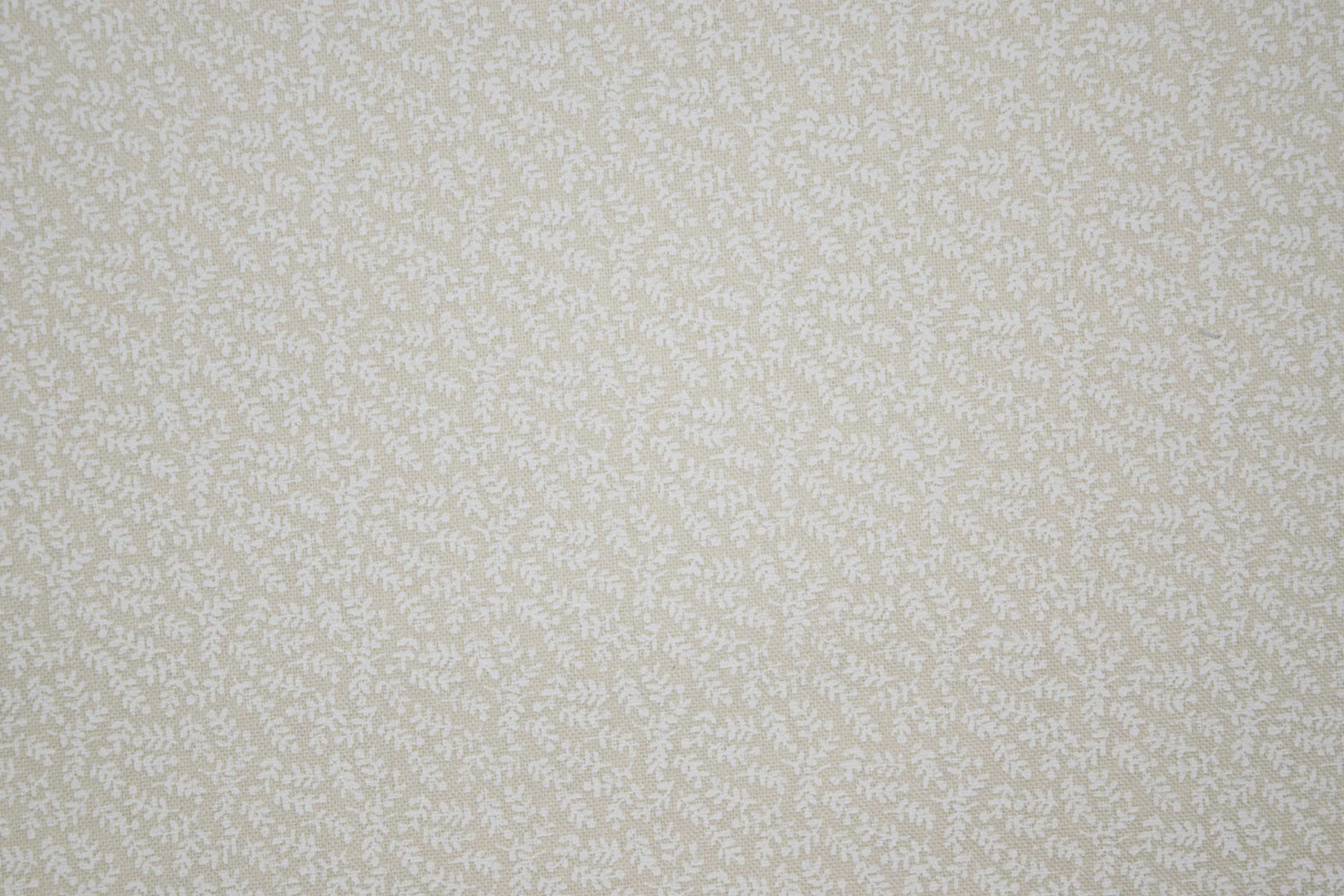 12_42249_wnatural 108" 68/68, 100% Carded Cotton
