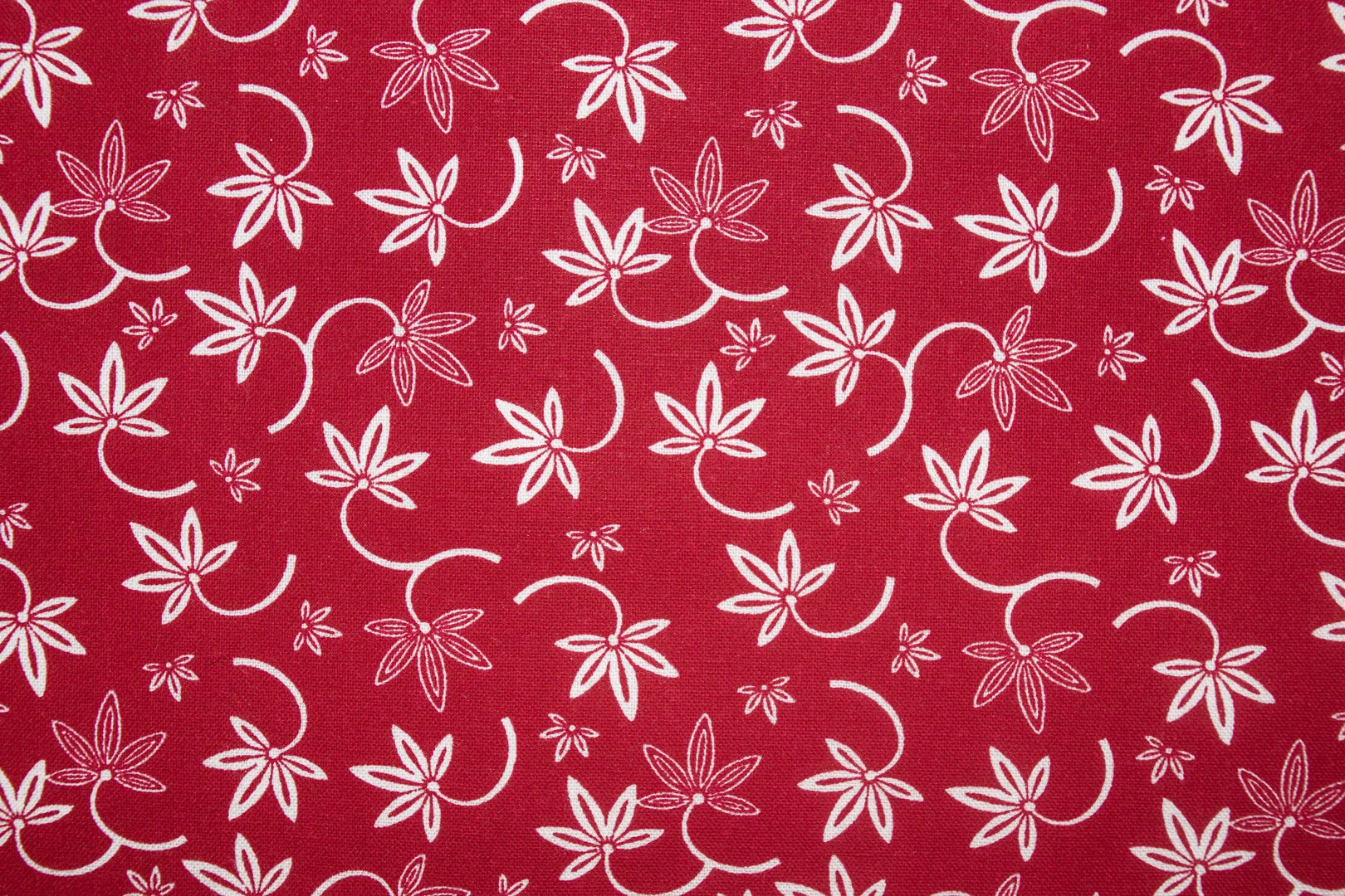 206_49105_red