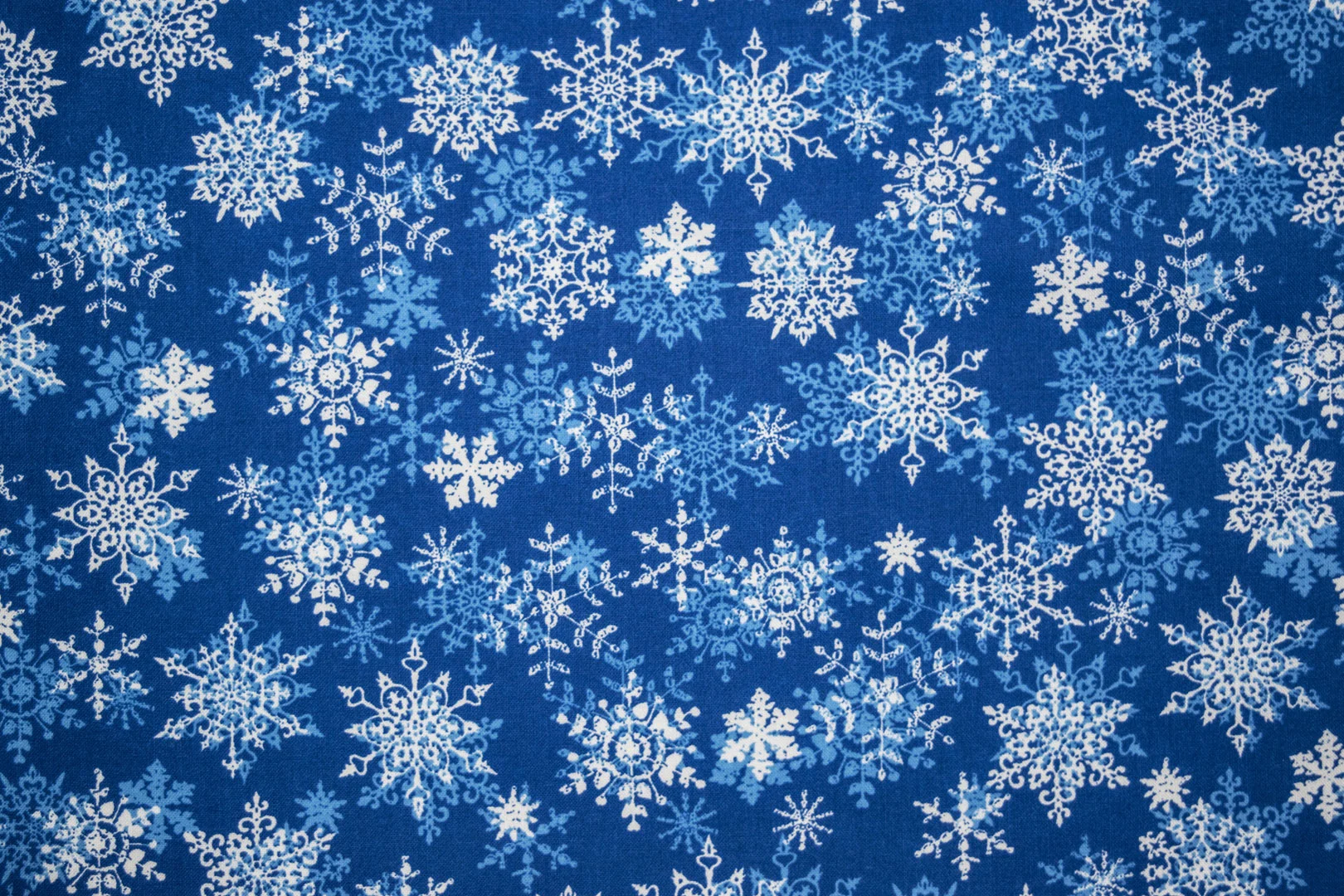 203_49029_blue