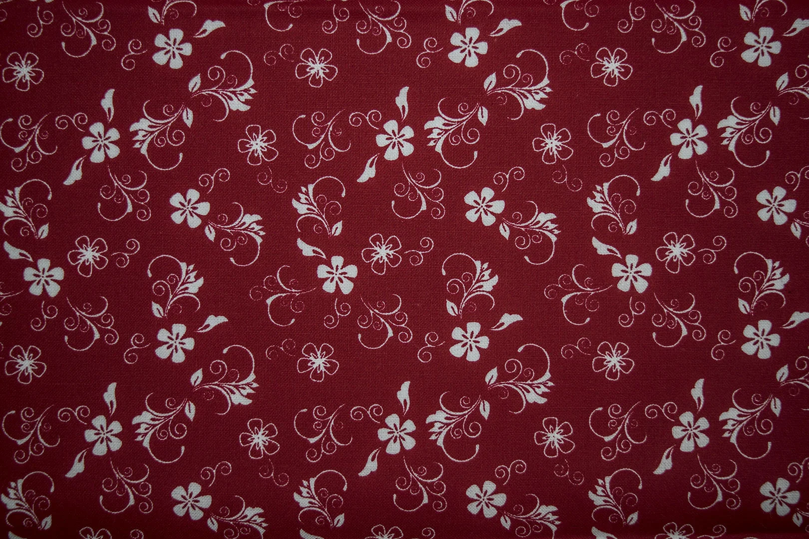 206_49107_red
