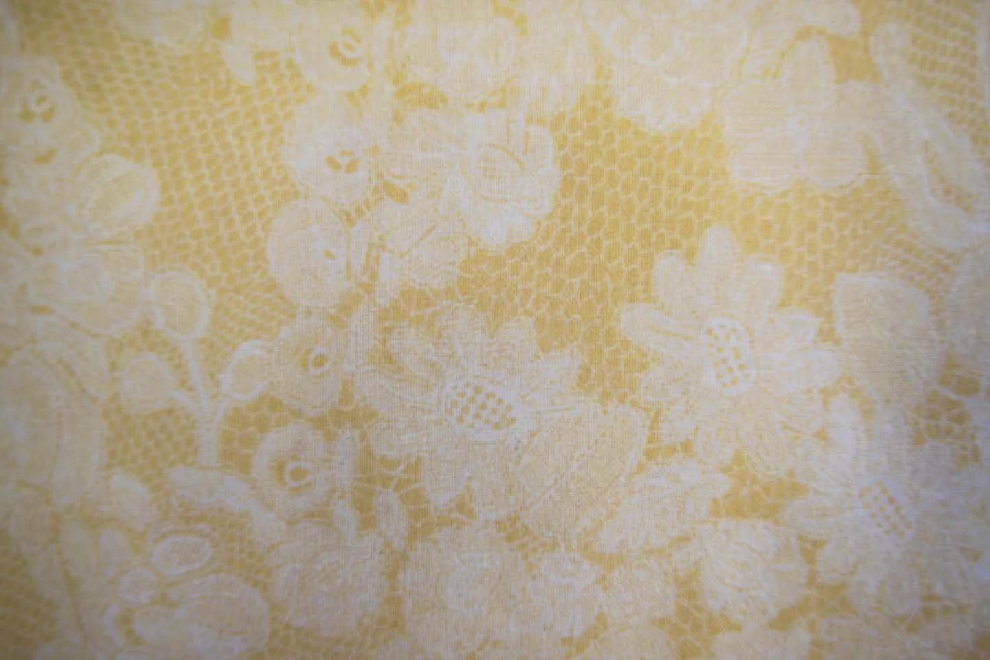 221_DP00030_IVORY