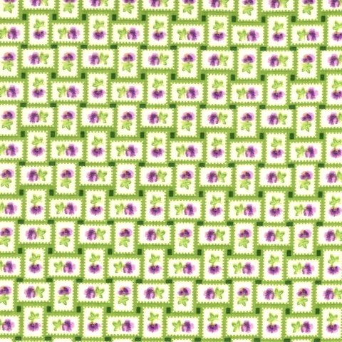  241 49838 Purple-Green 