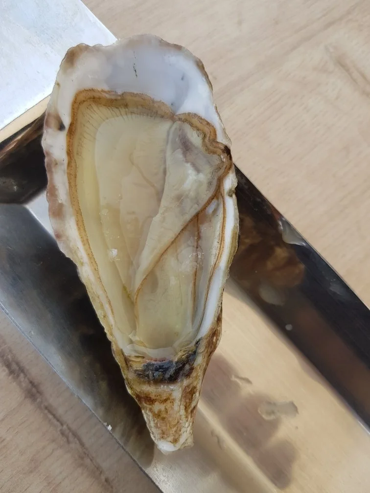 WhatsApp Image 2024-08-19 at 11.42.51.jpeg