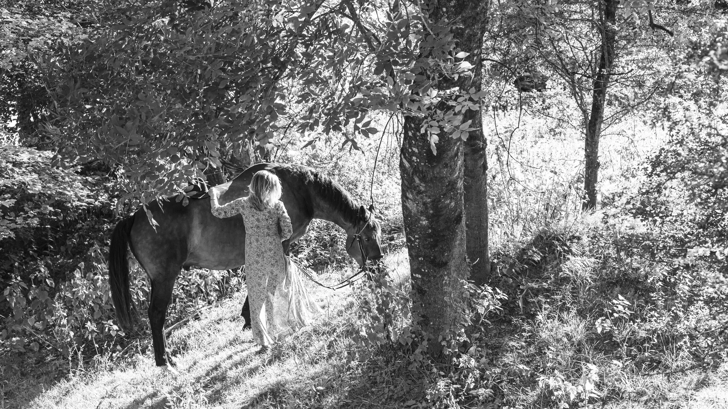 18_D3_9405.jpg