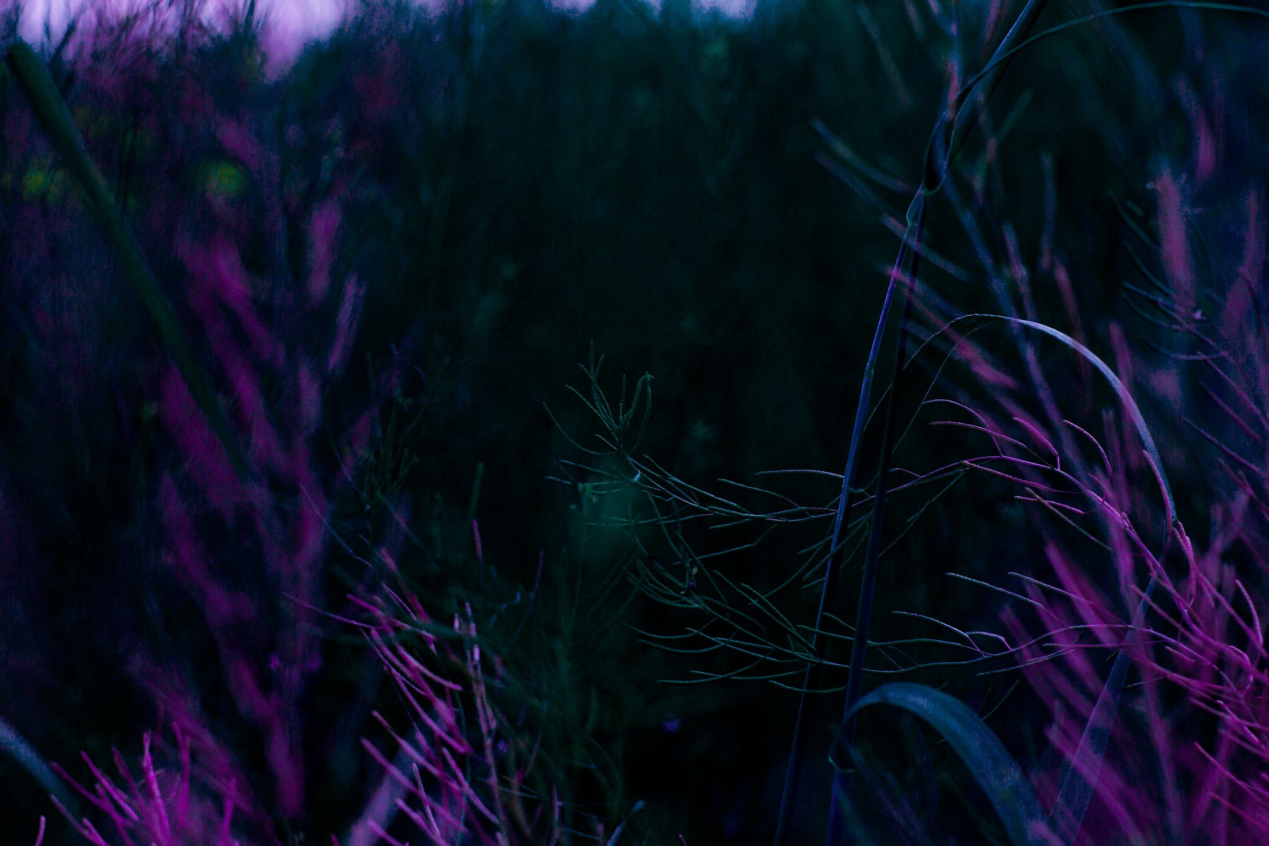 unsplash-image-rhHmIWVjvqg.jpg