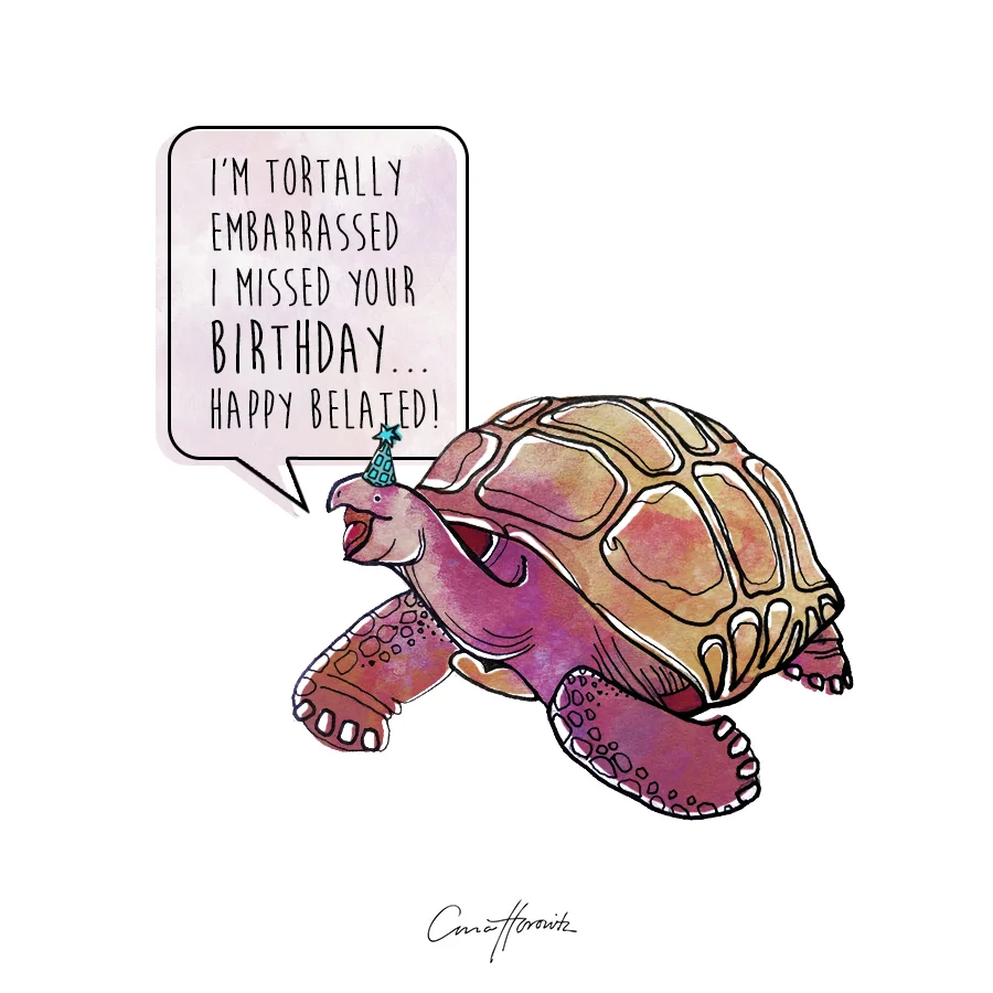 Tortoise.jpg