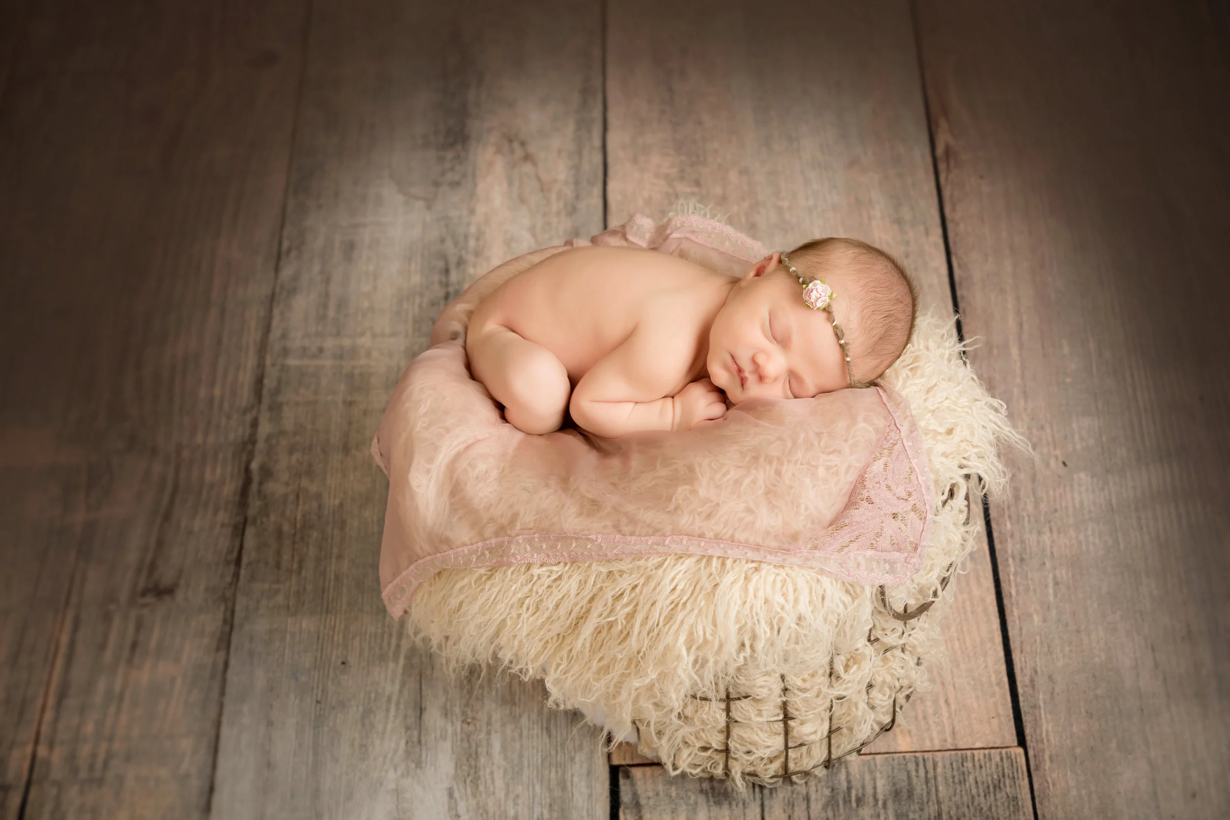 Newborn Photo Session