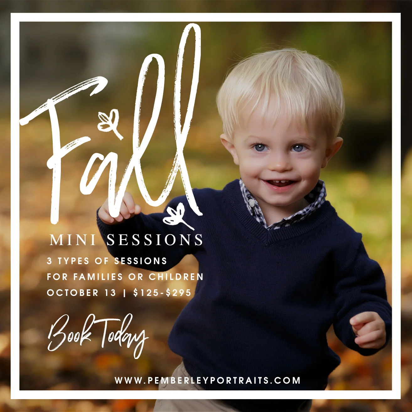 fall-minis-2018.jpg