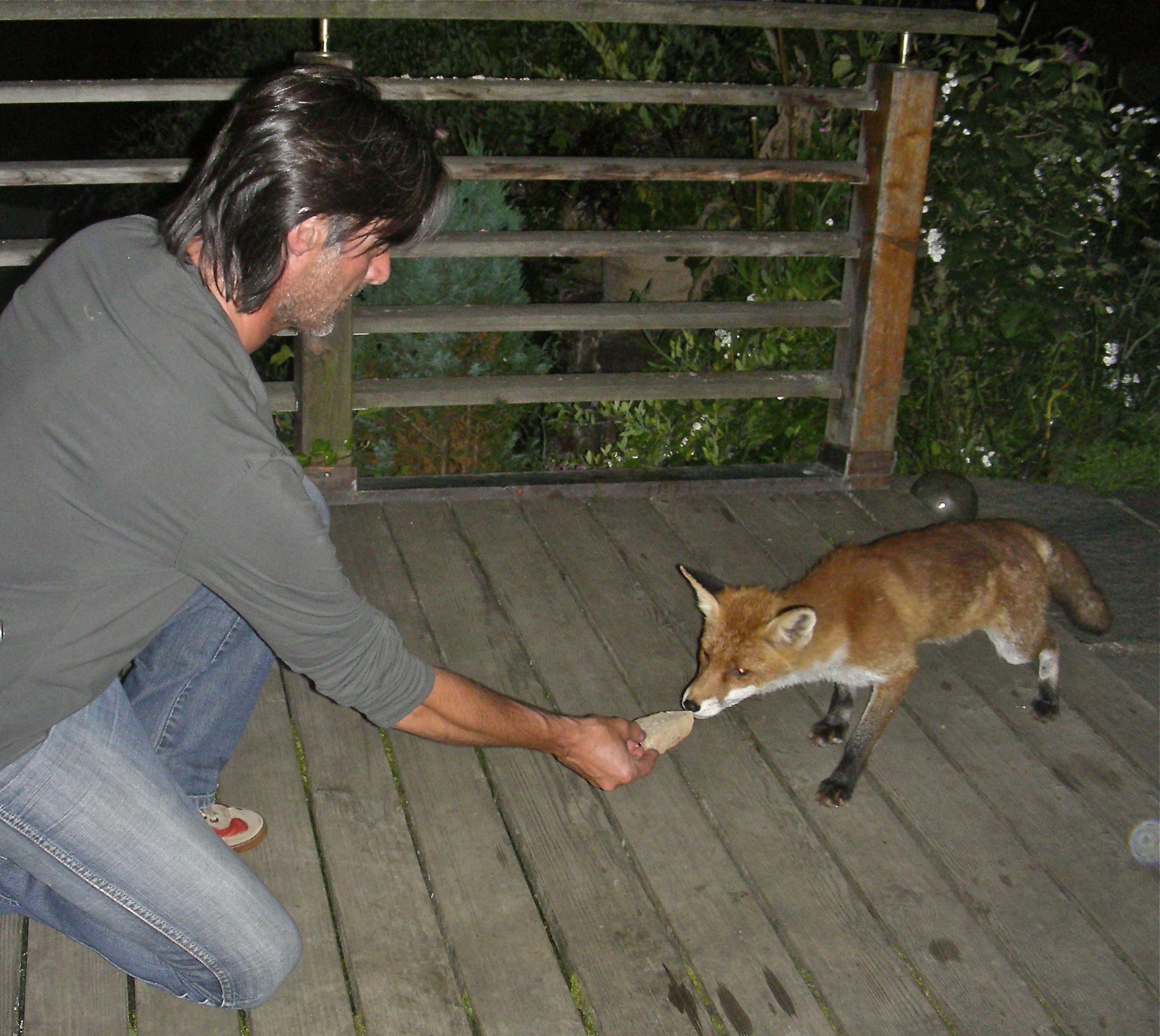 DSCN5846.jpg