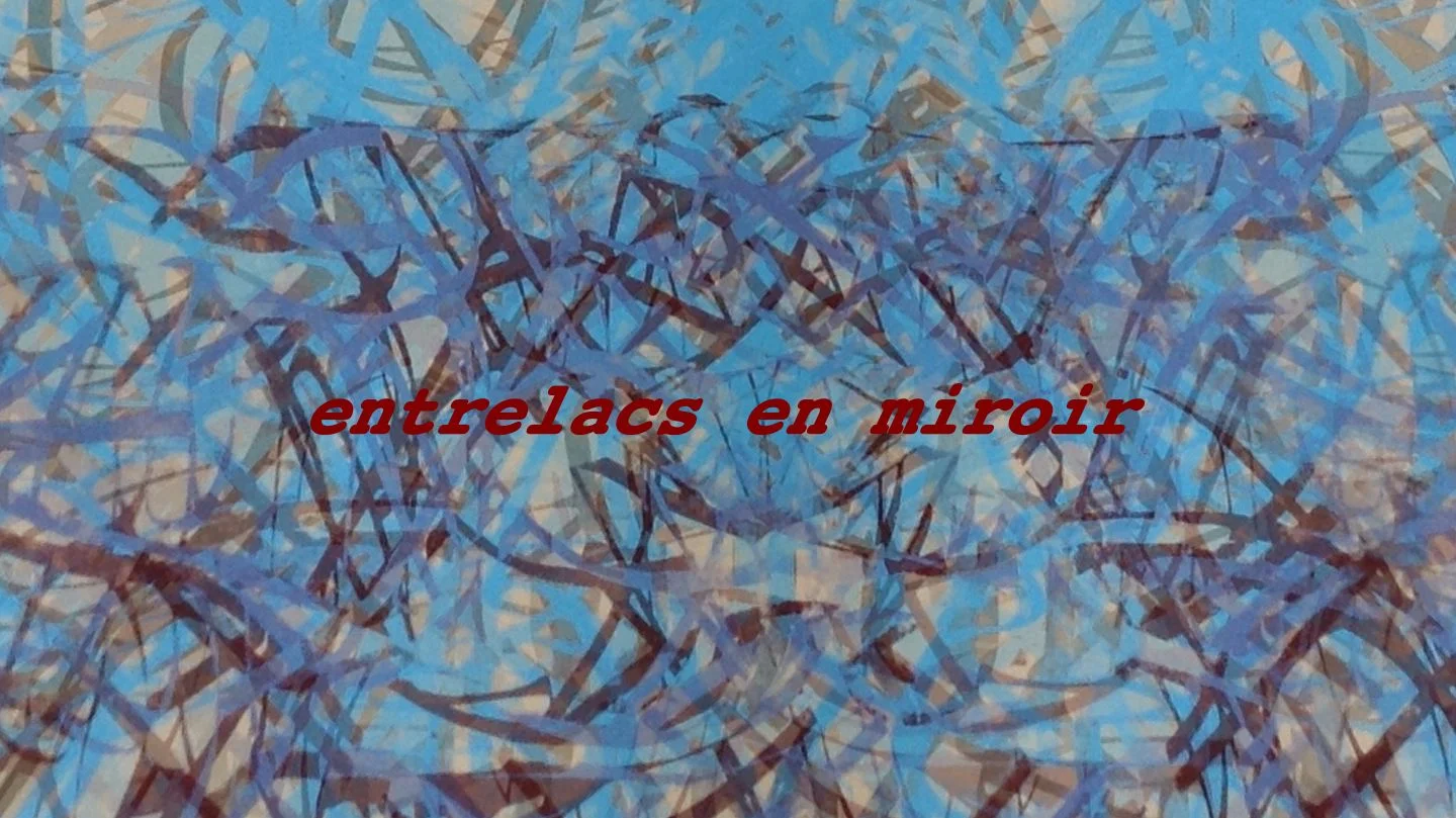 couleurs 29.08.14 entrelacs en miroir1.jpg
