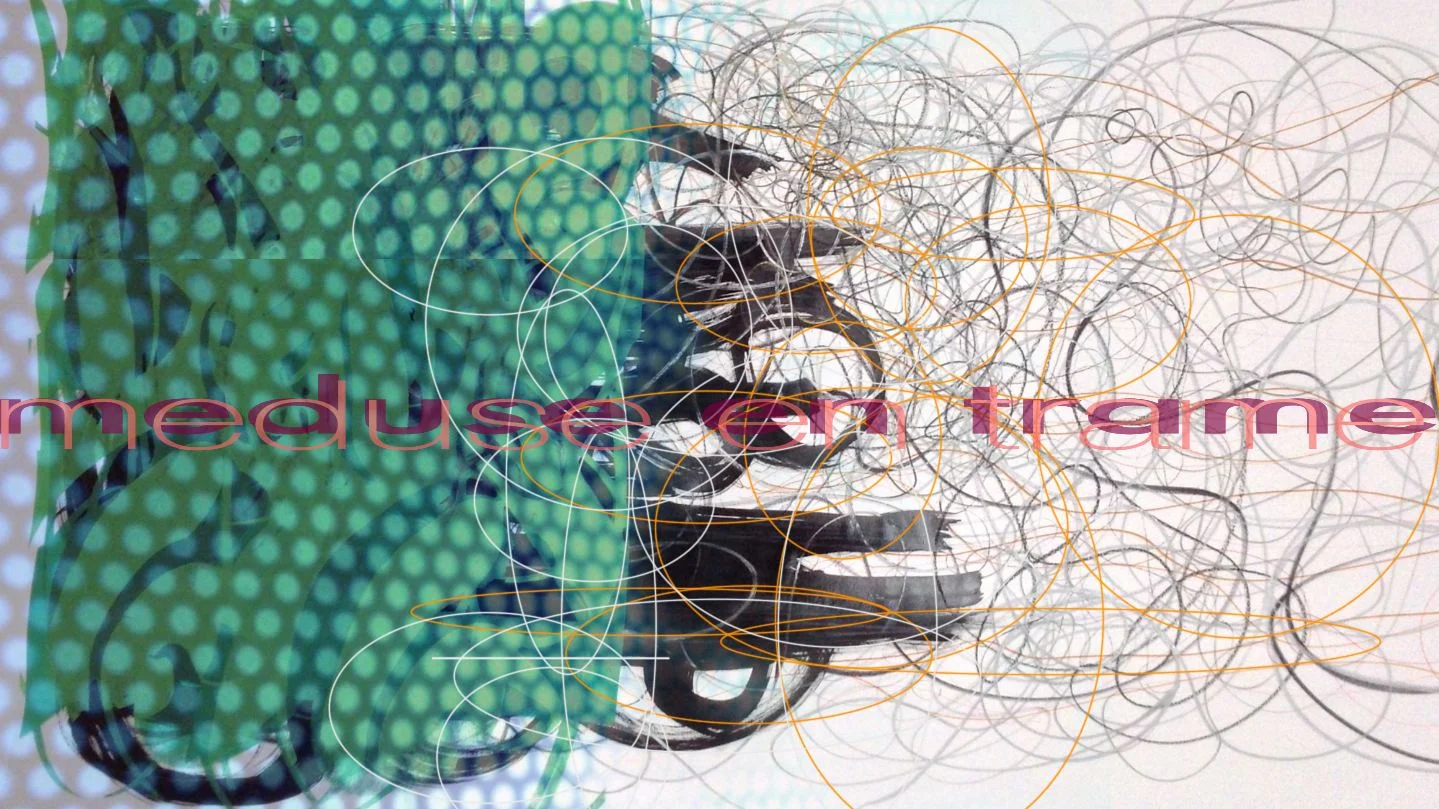 couleurs 12.09.14 meduse en trame1.jpg