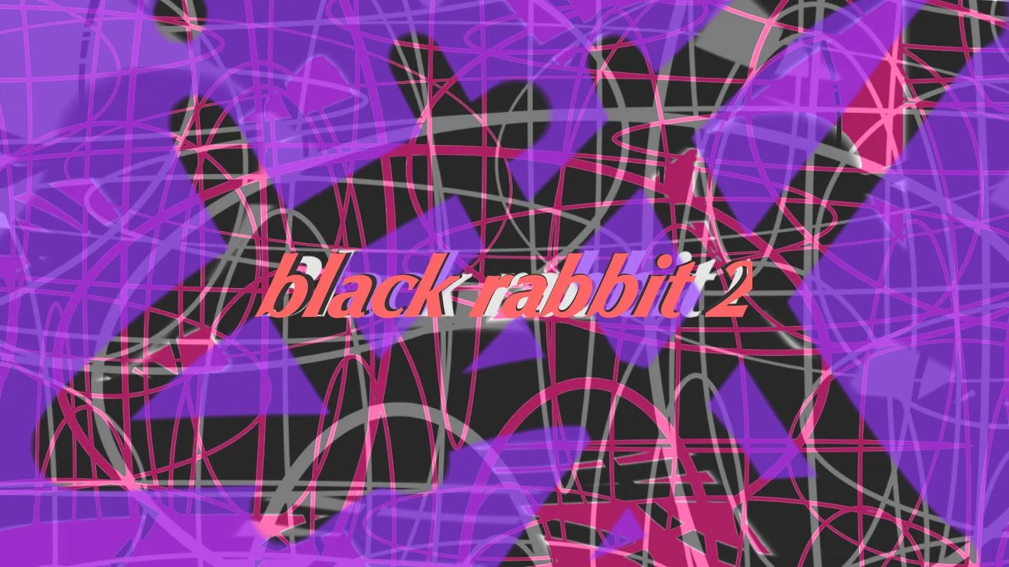 couleurs 14.09.14 black rabbit 2.jpg