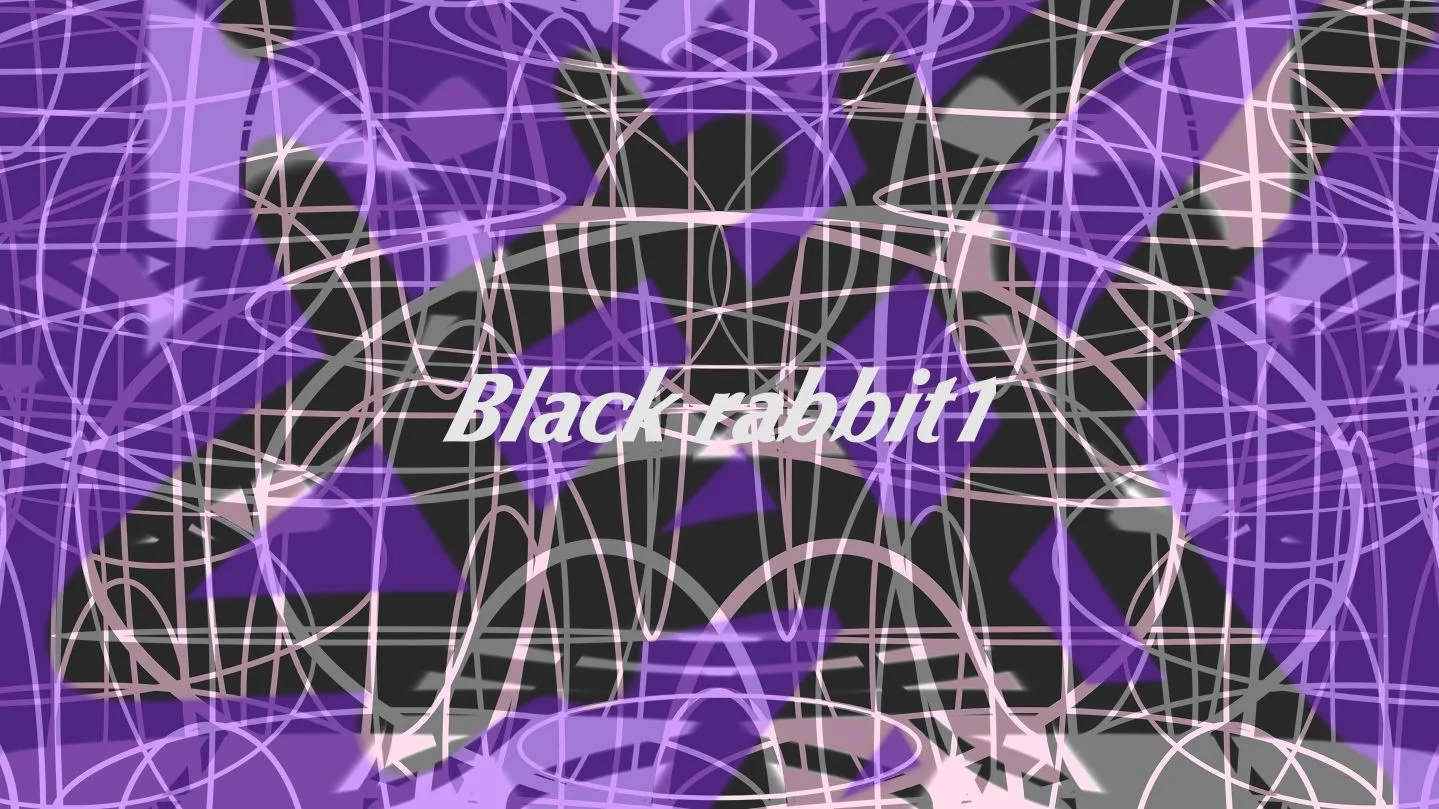 couleurs 13.09.14 black rabbit 1.jpg