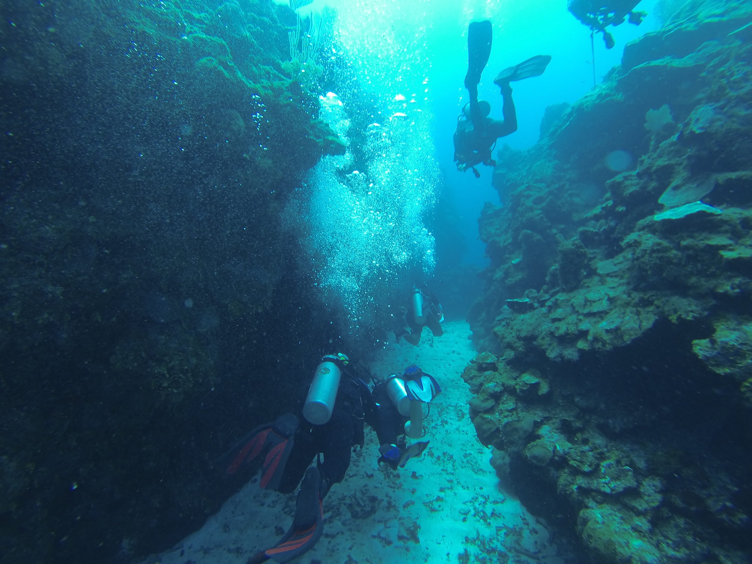 G0211463.jpg