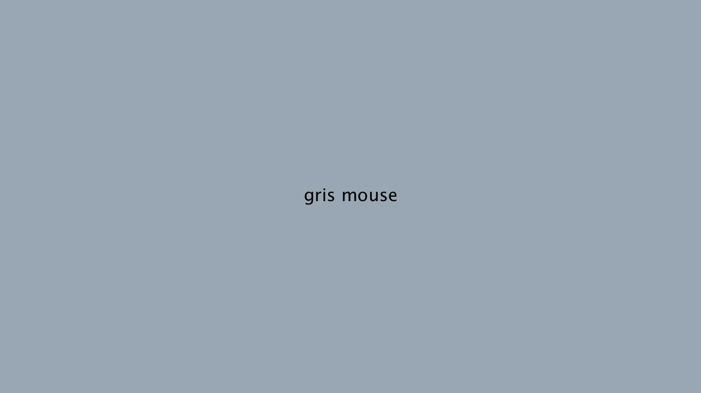 couleur 13.01.14 gris mouse.jpg
