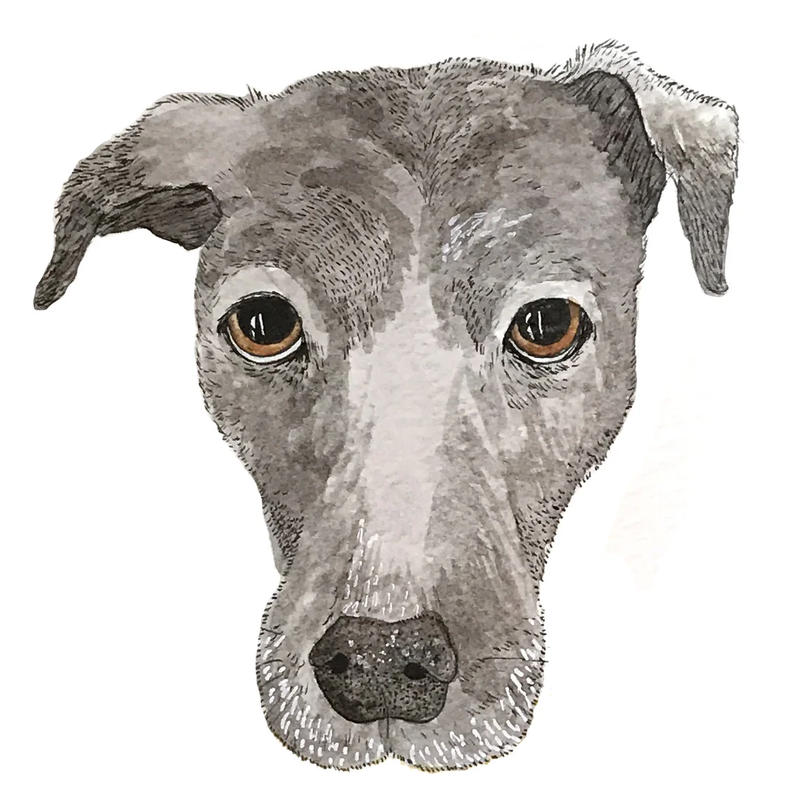 lana dog custom pet portrait.jpg
