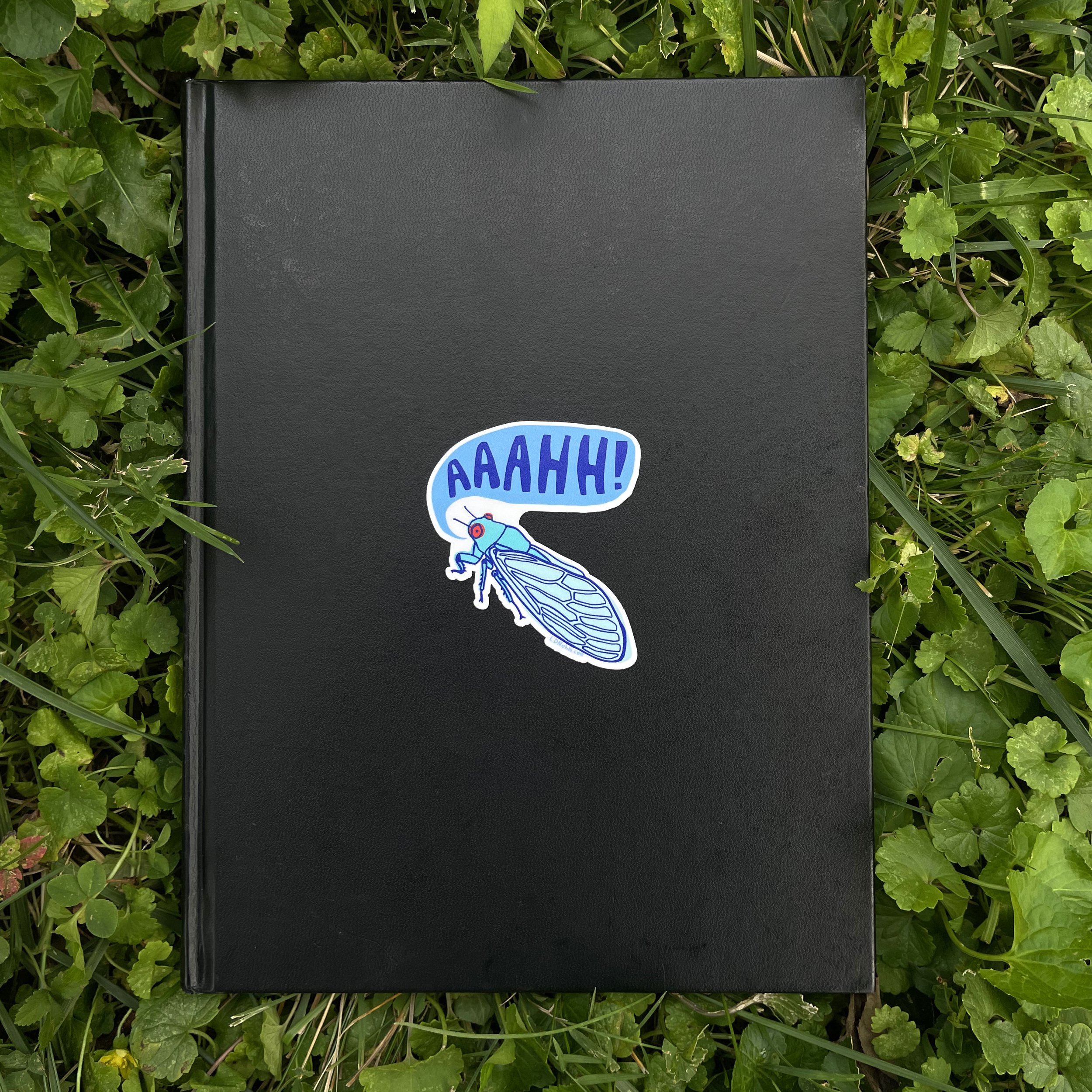 cicada book.jpg