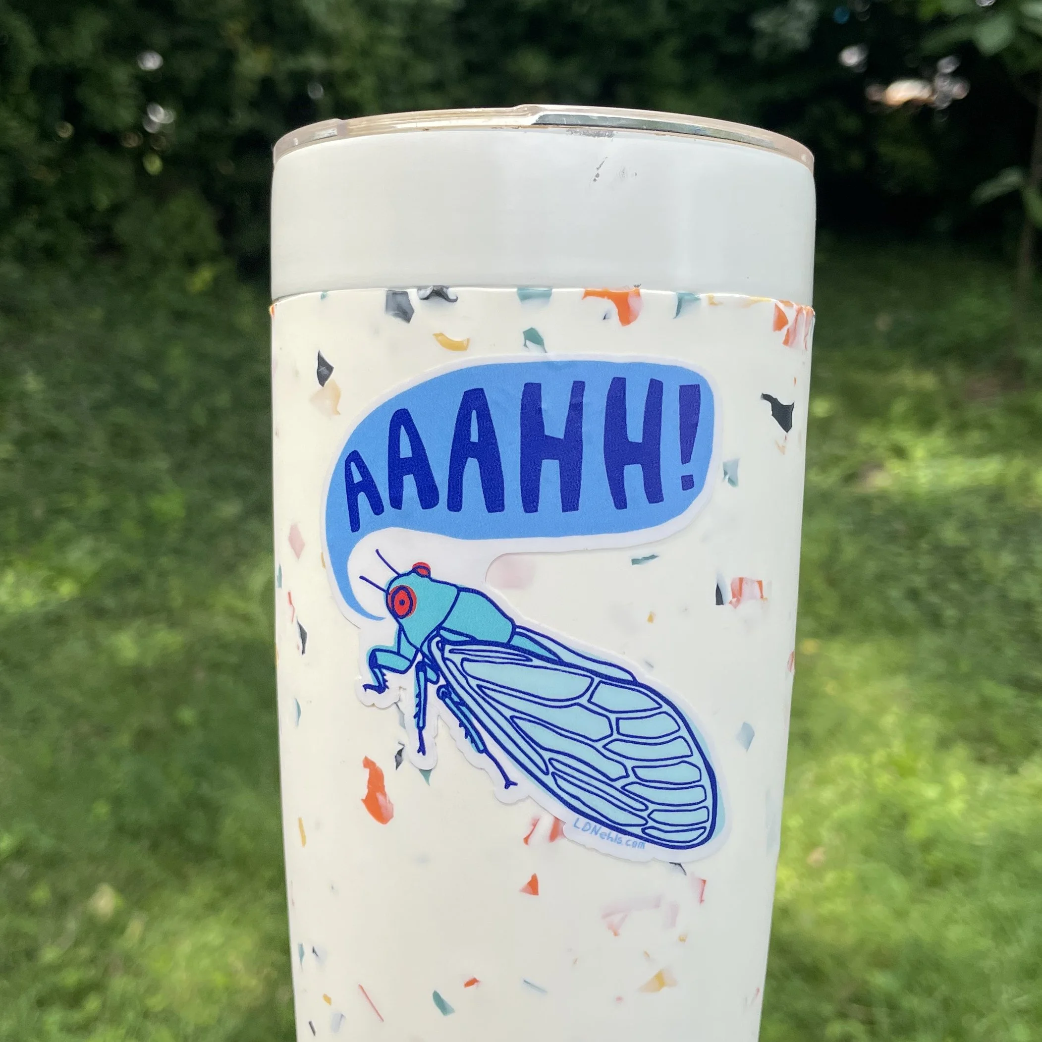 cicada on mug.jpg