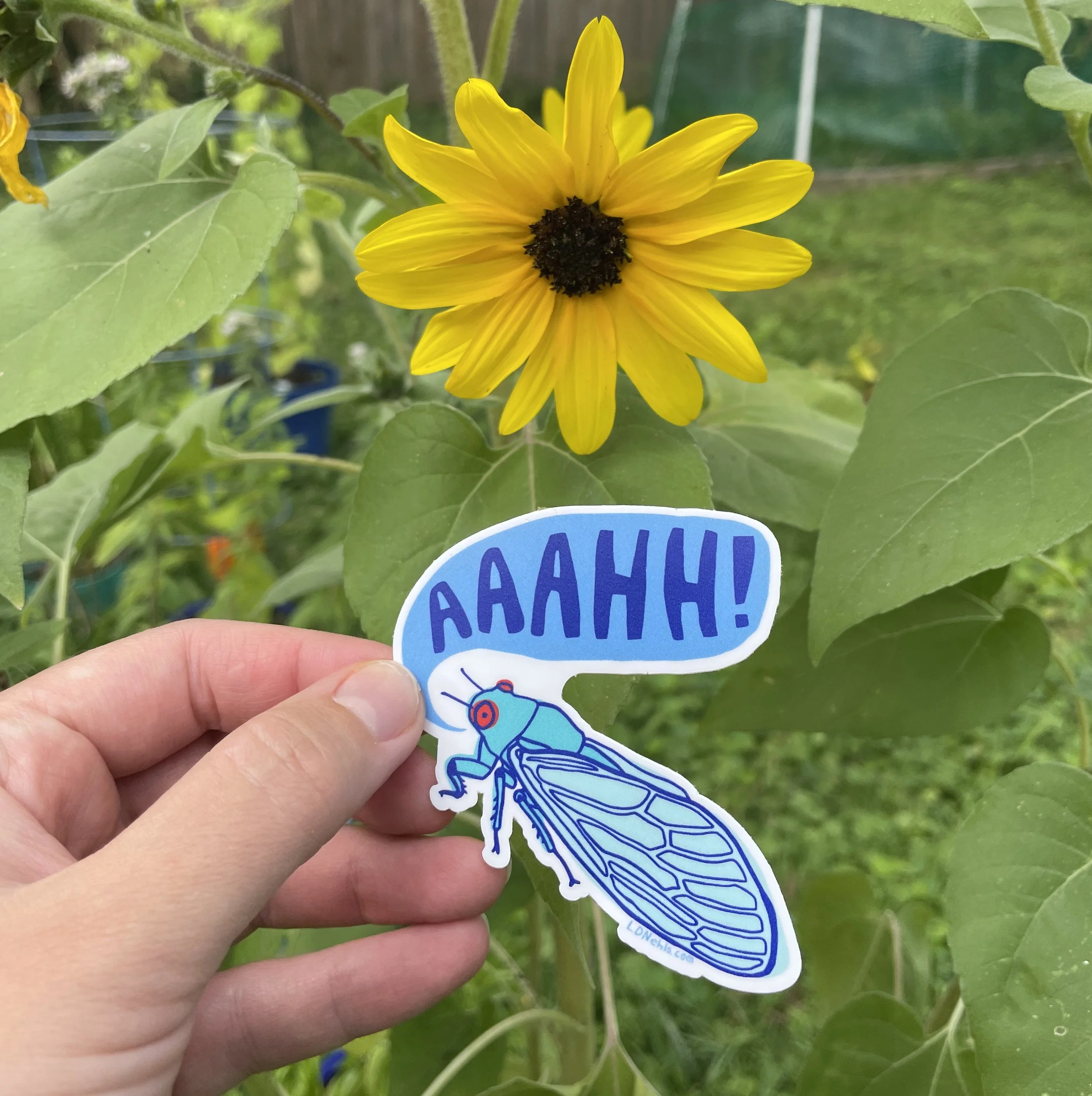cicada sticker.jpg