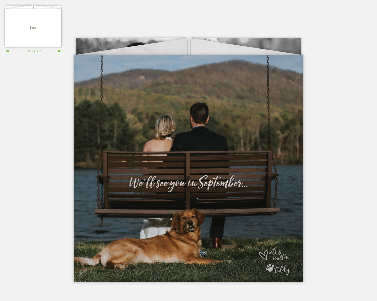 WEDDING_FOLDS2.png