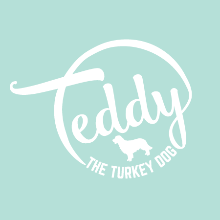 TEDDY_LOGO-01.png