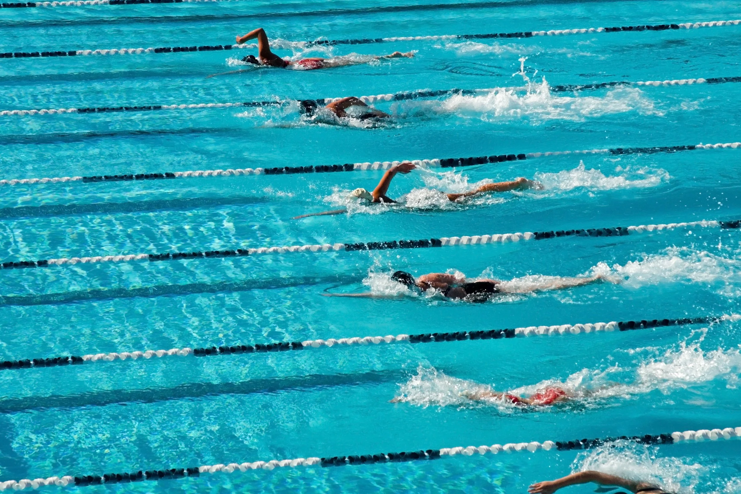 Competitive Swimming: Where Tradition Meets Technology – A Detailed Discussion