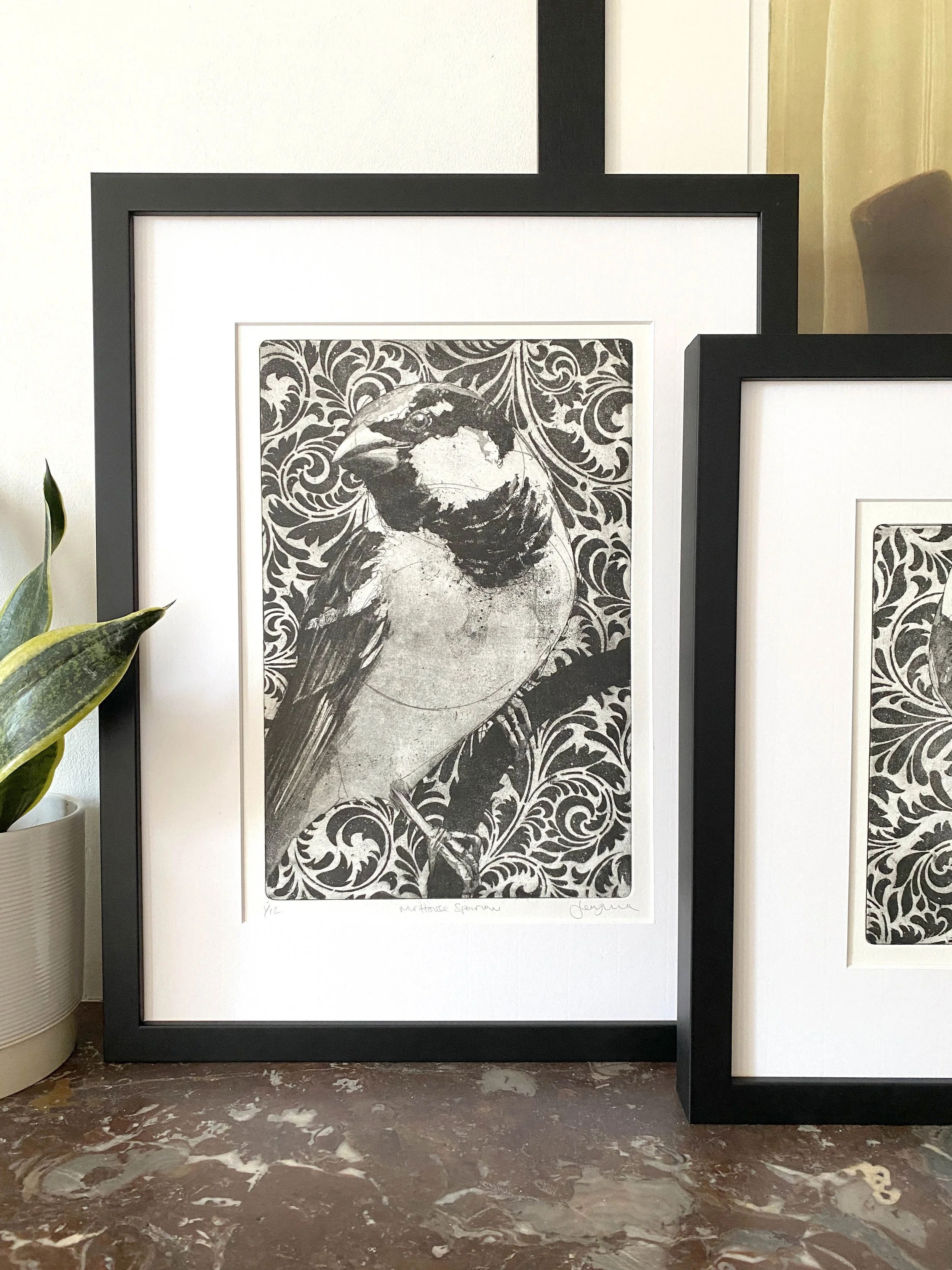 mr sparrow framed small .jpg