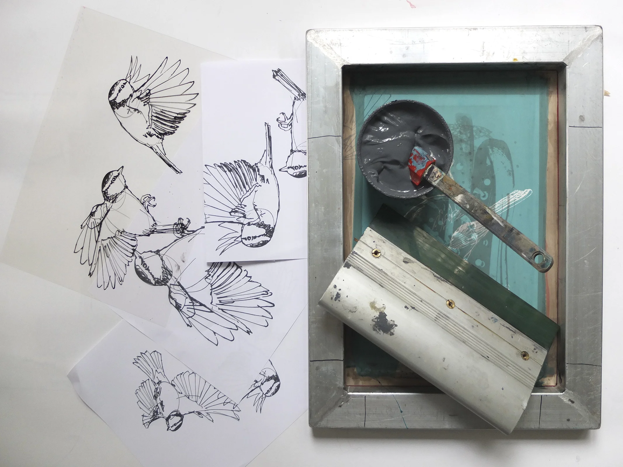 screen-birds.jpg
