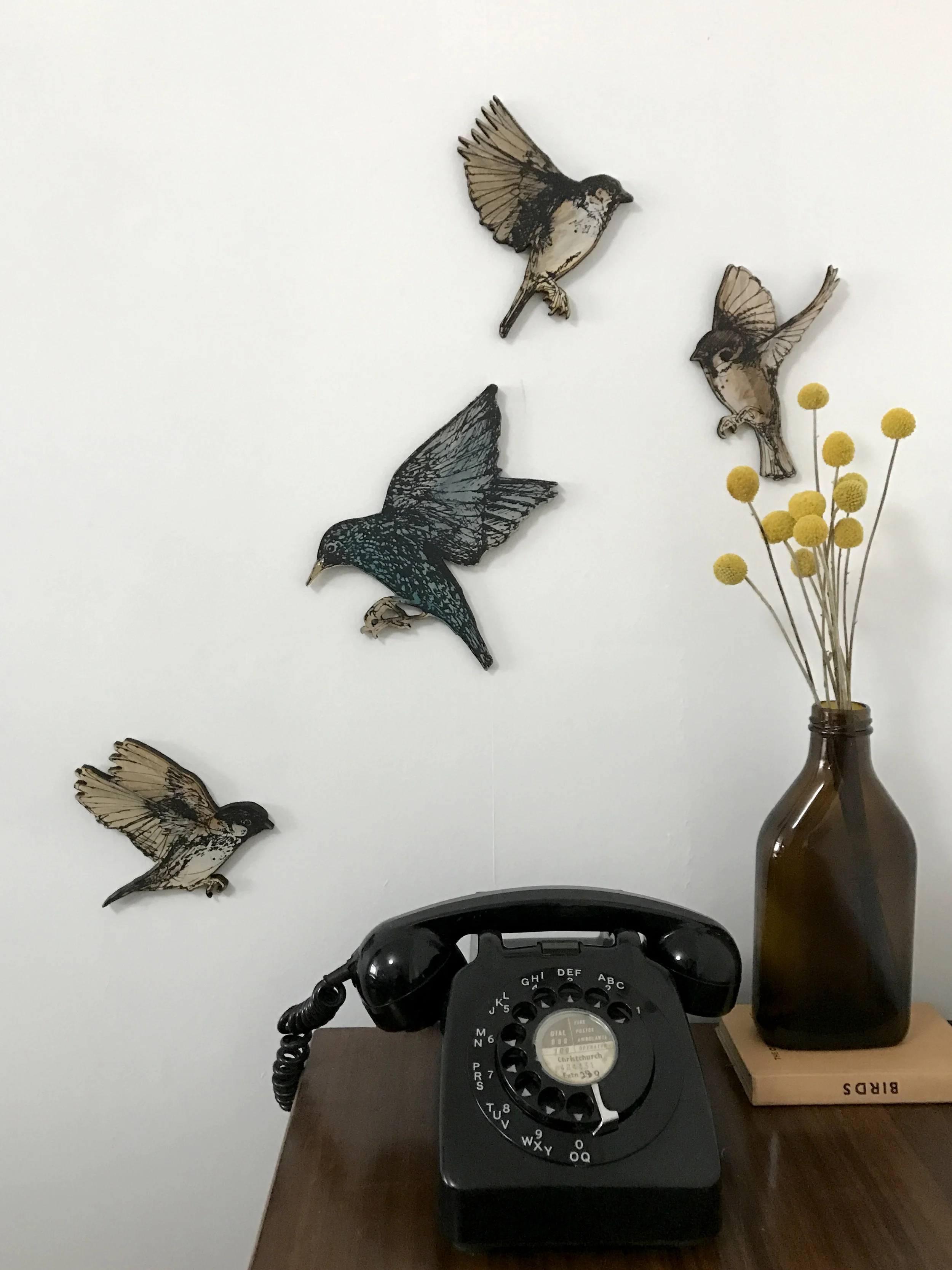 sparrow&starling on wall-phone.jpg