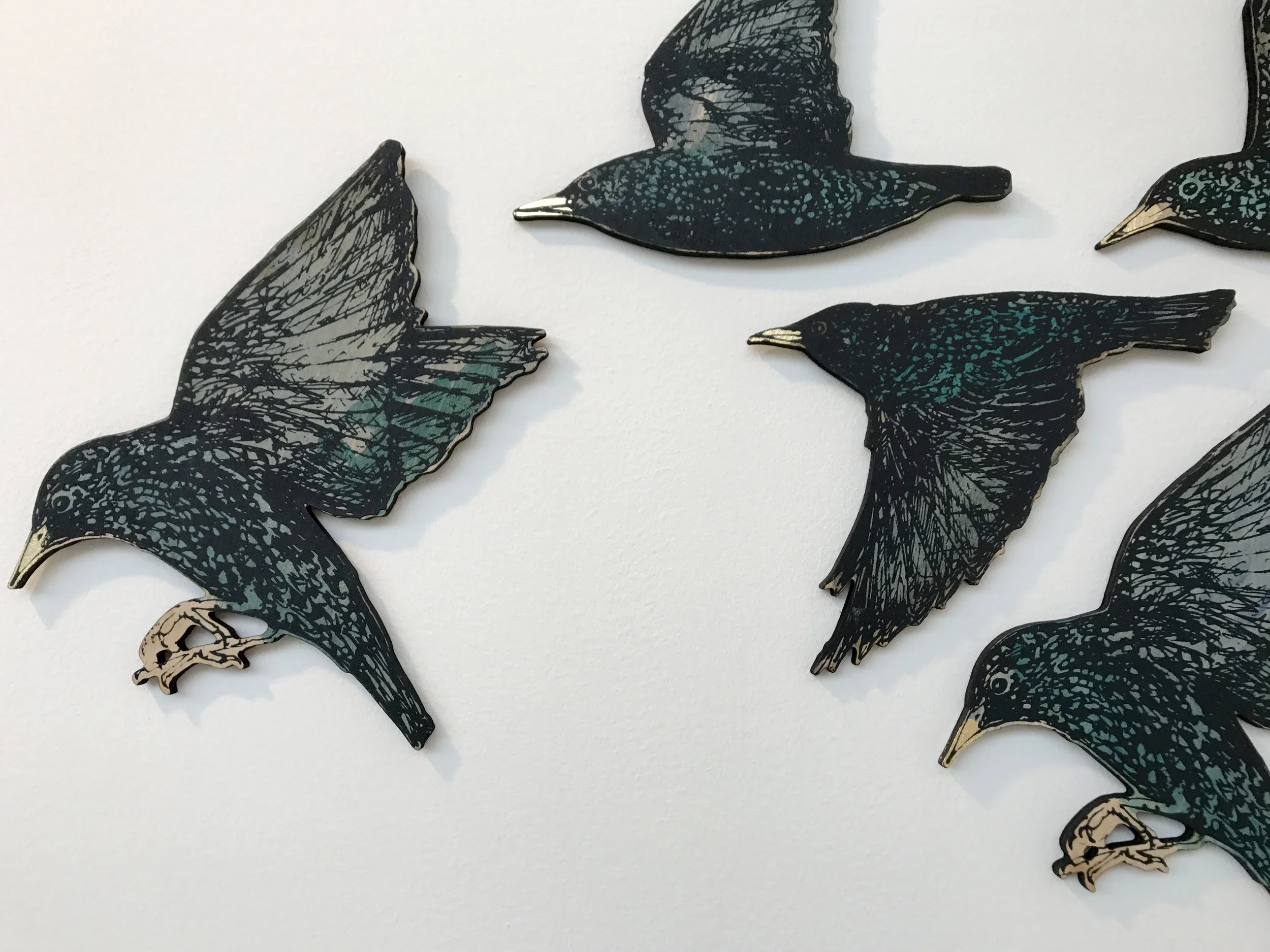 starling detail2.jpg