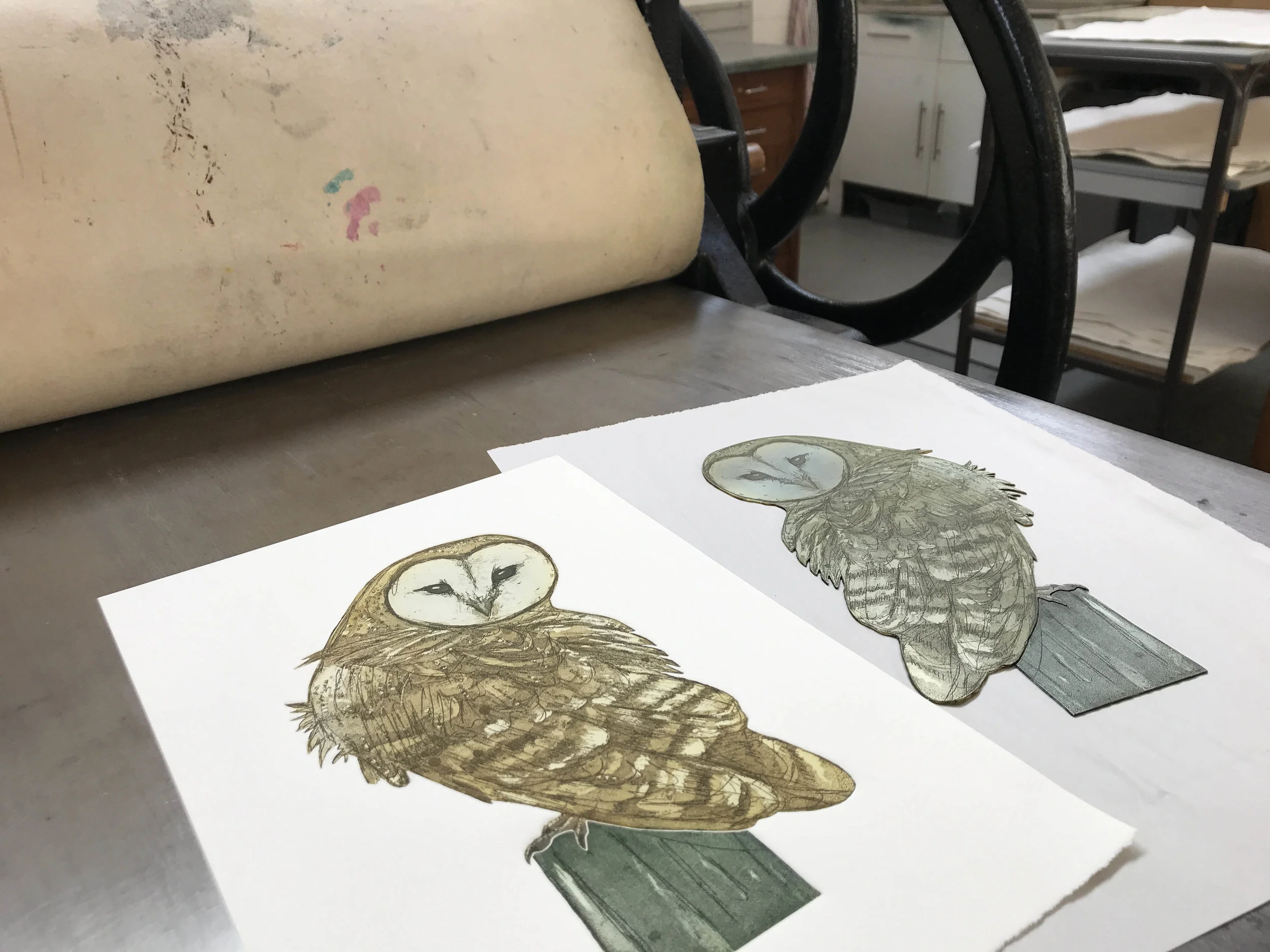 barn owl on bed small.jpg