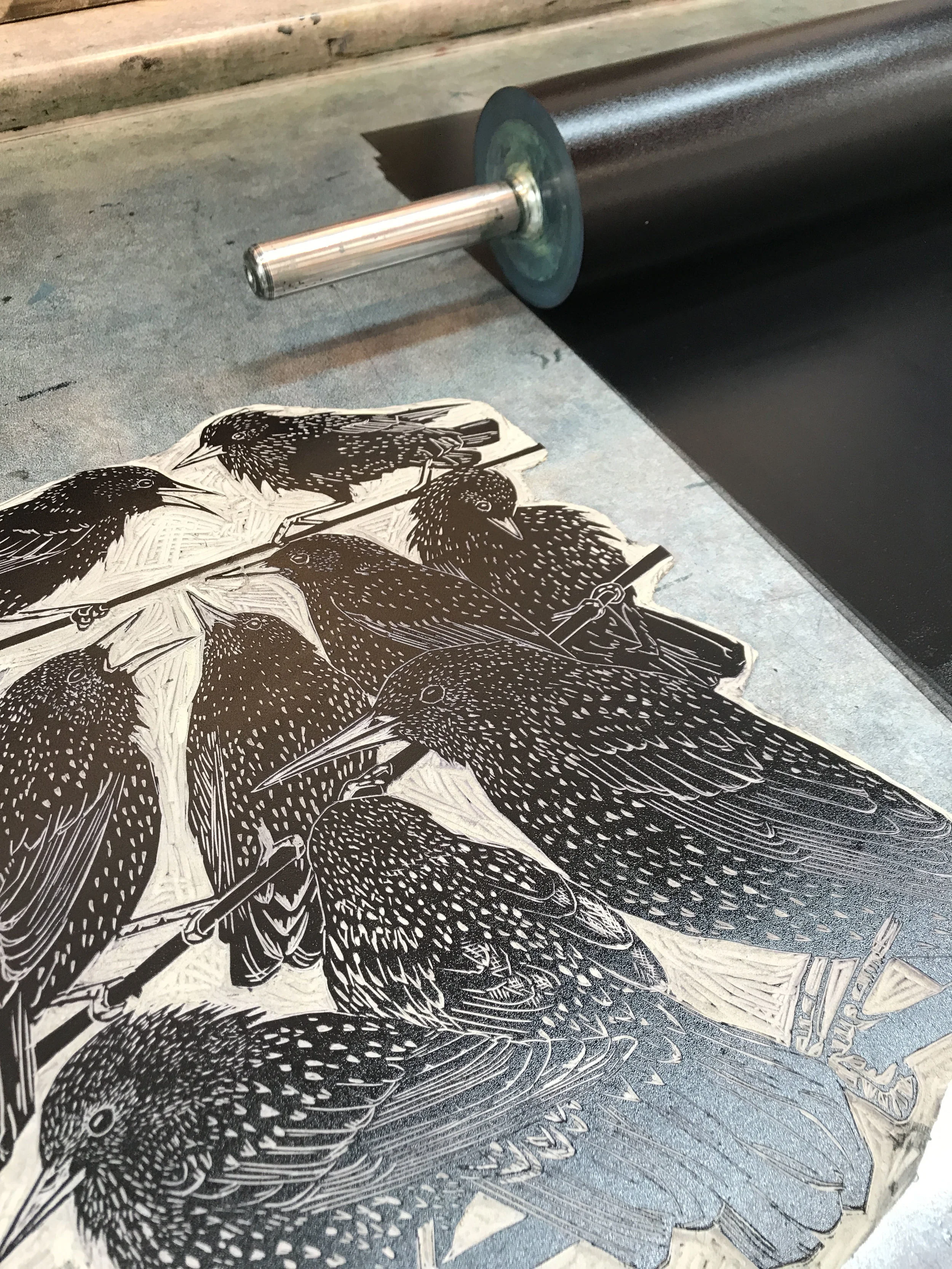 starling lino ink roller small.jpg