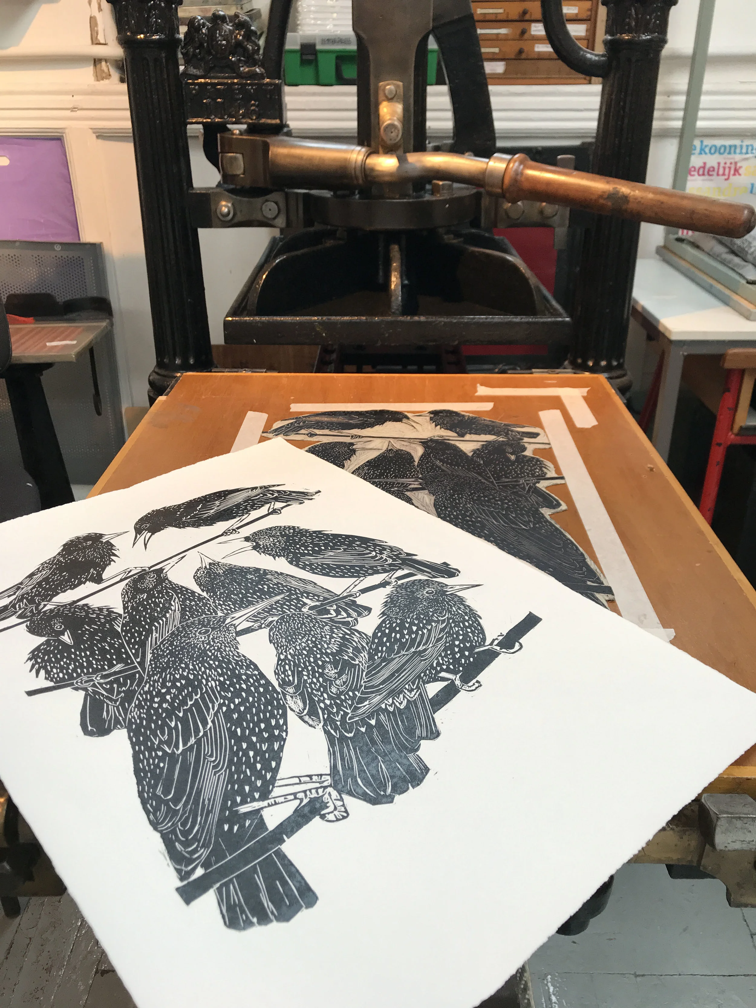starling lino print on bed small .jpg