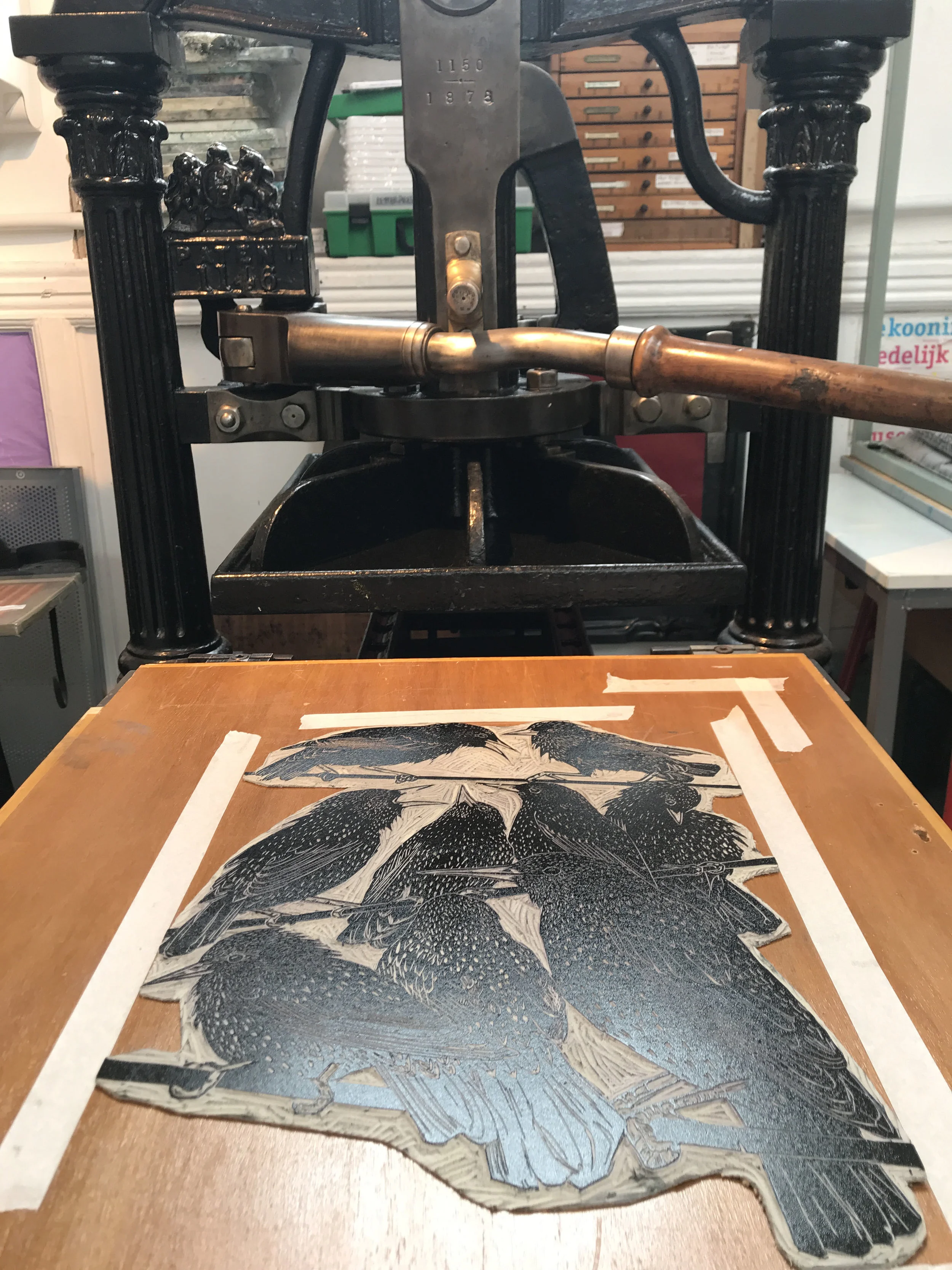 starling lino on bed small.jpg