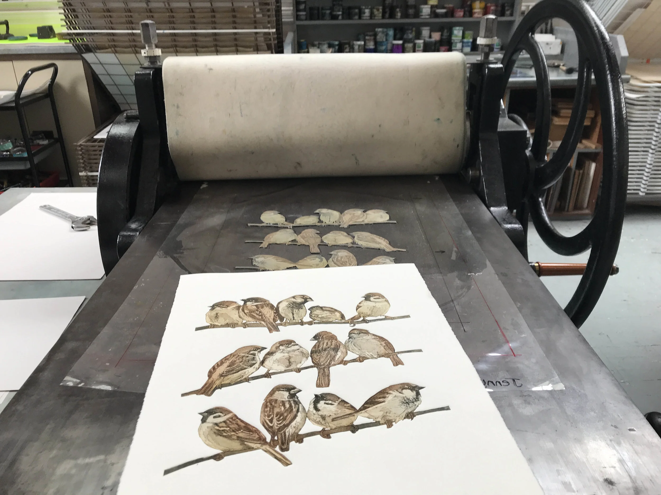 sparrows on bed landscapesmall .jpg
