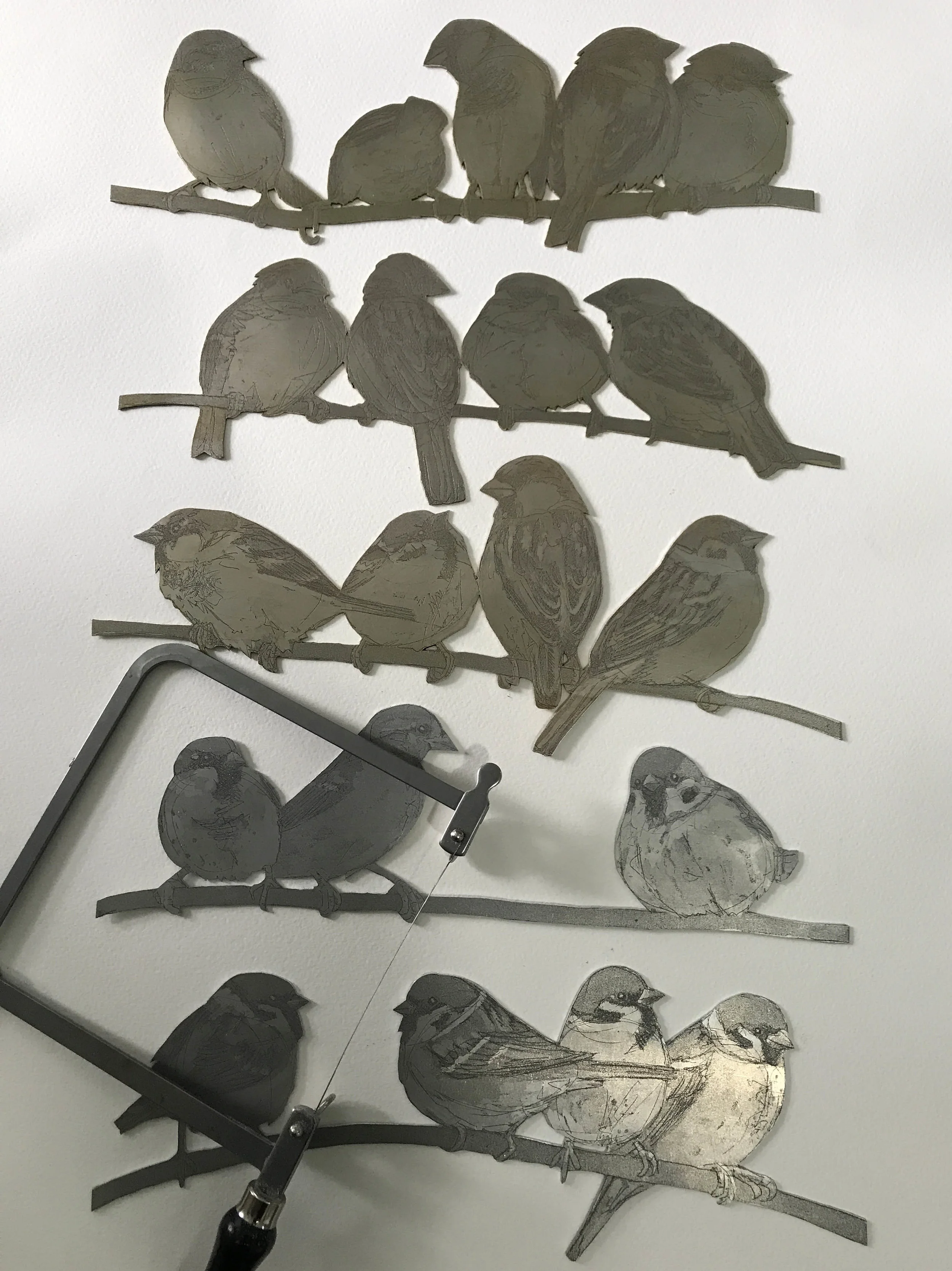 all 5 rows cut out small.jpg