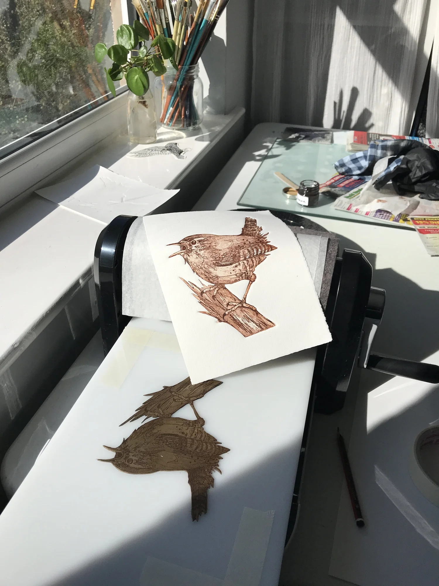 Jenny McCabe Artist Printmaker