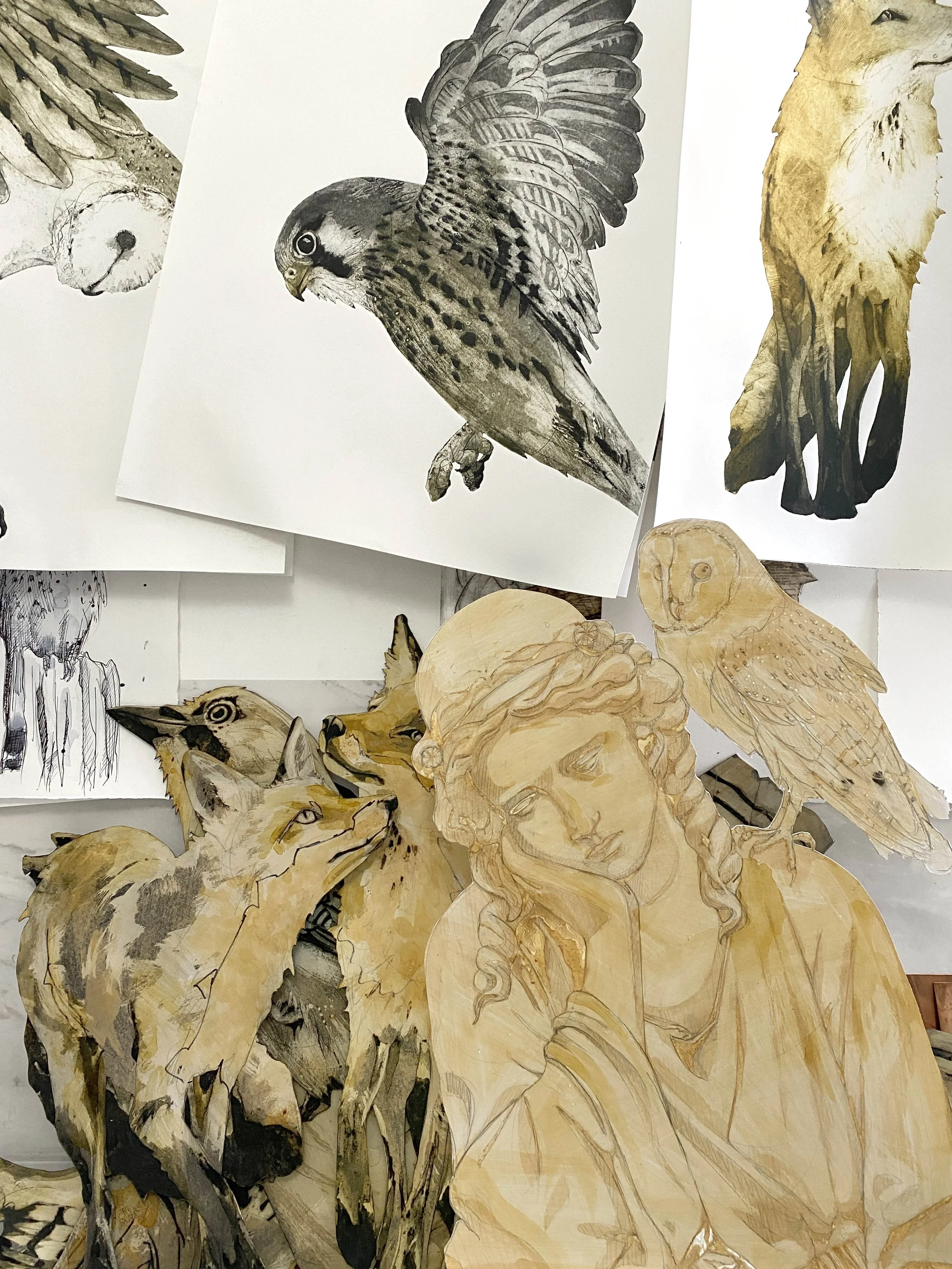 INTUITION - barn owl plates SMALL  .jpg