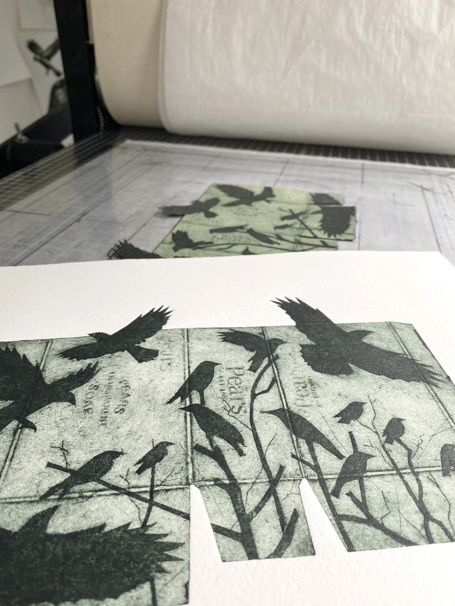 Jenny McCabe Artist | Printmaker