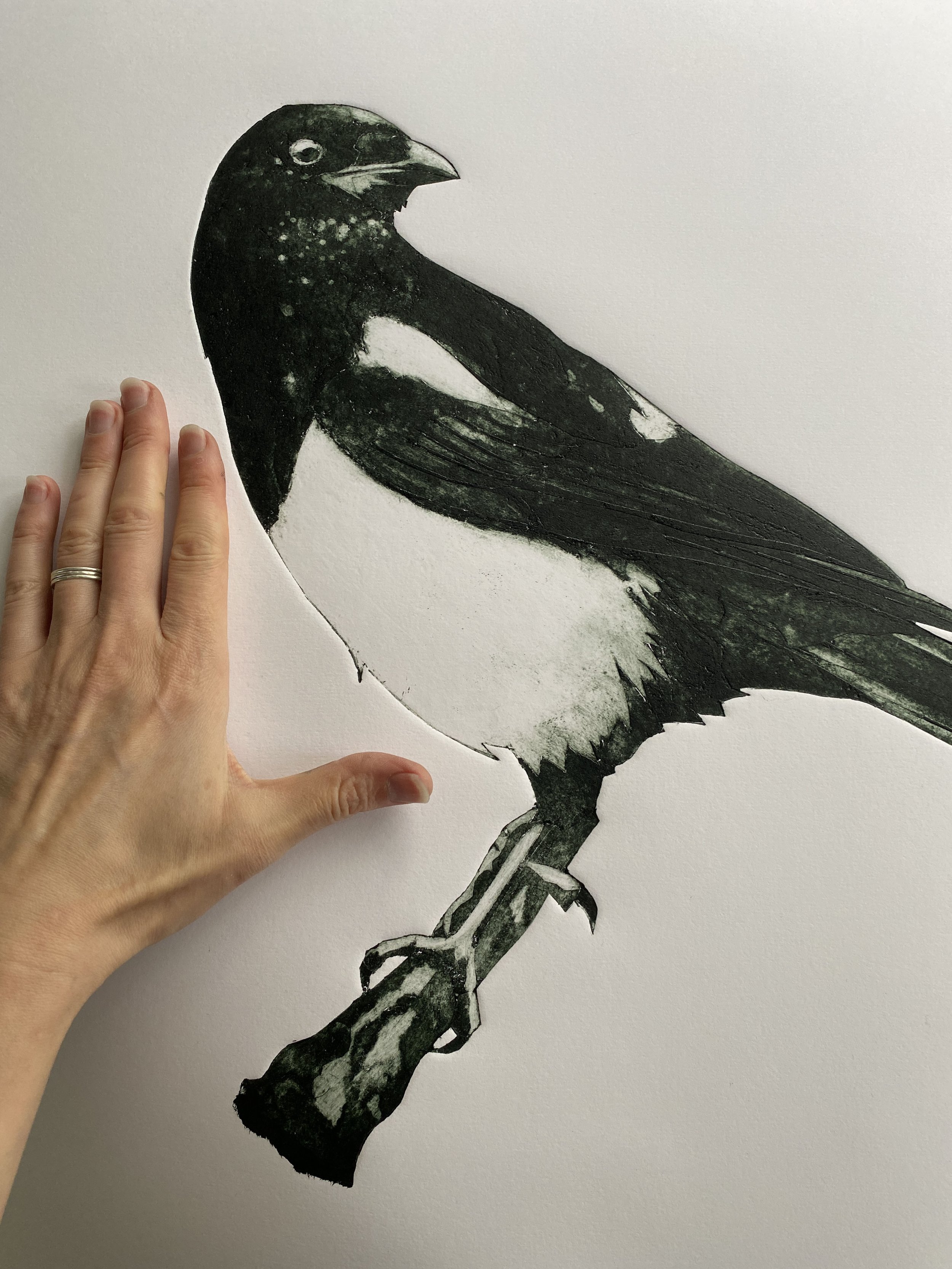 hand by massive magpie  small.jpg